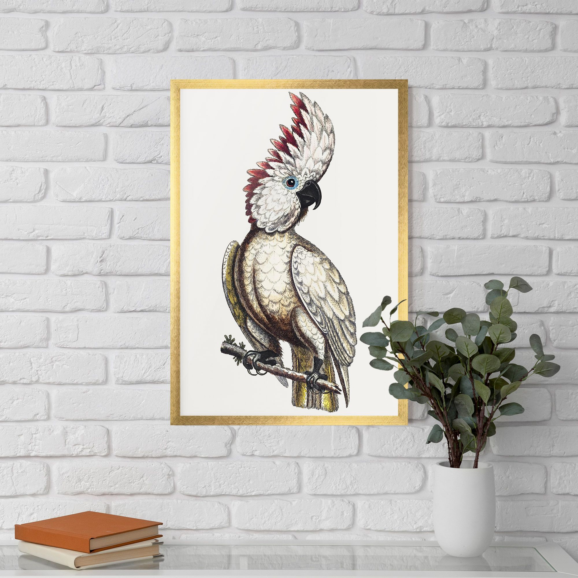 Interesting Bird mockup 5