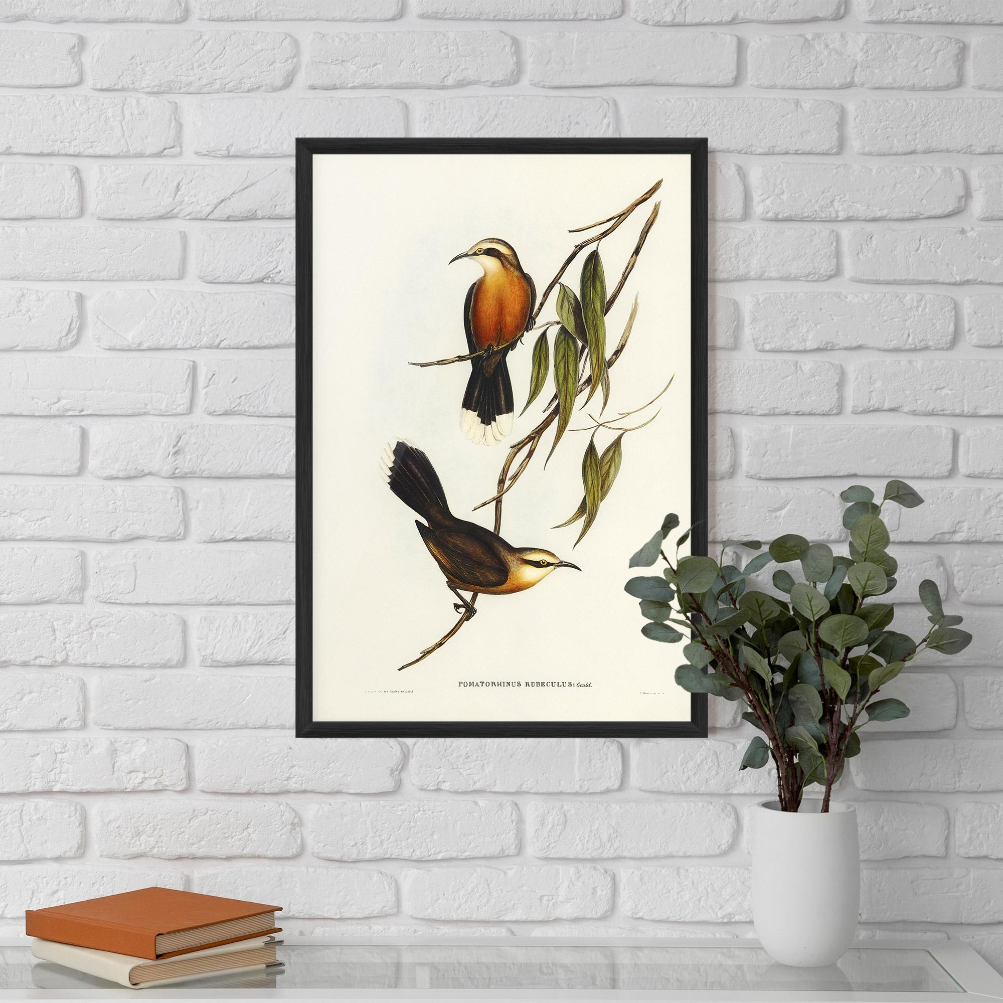 Рамкиран постер Red Pomatorhinus mockup 5
