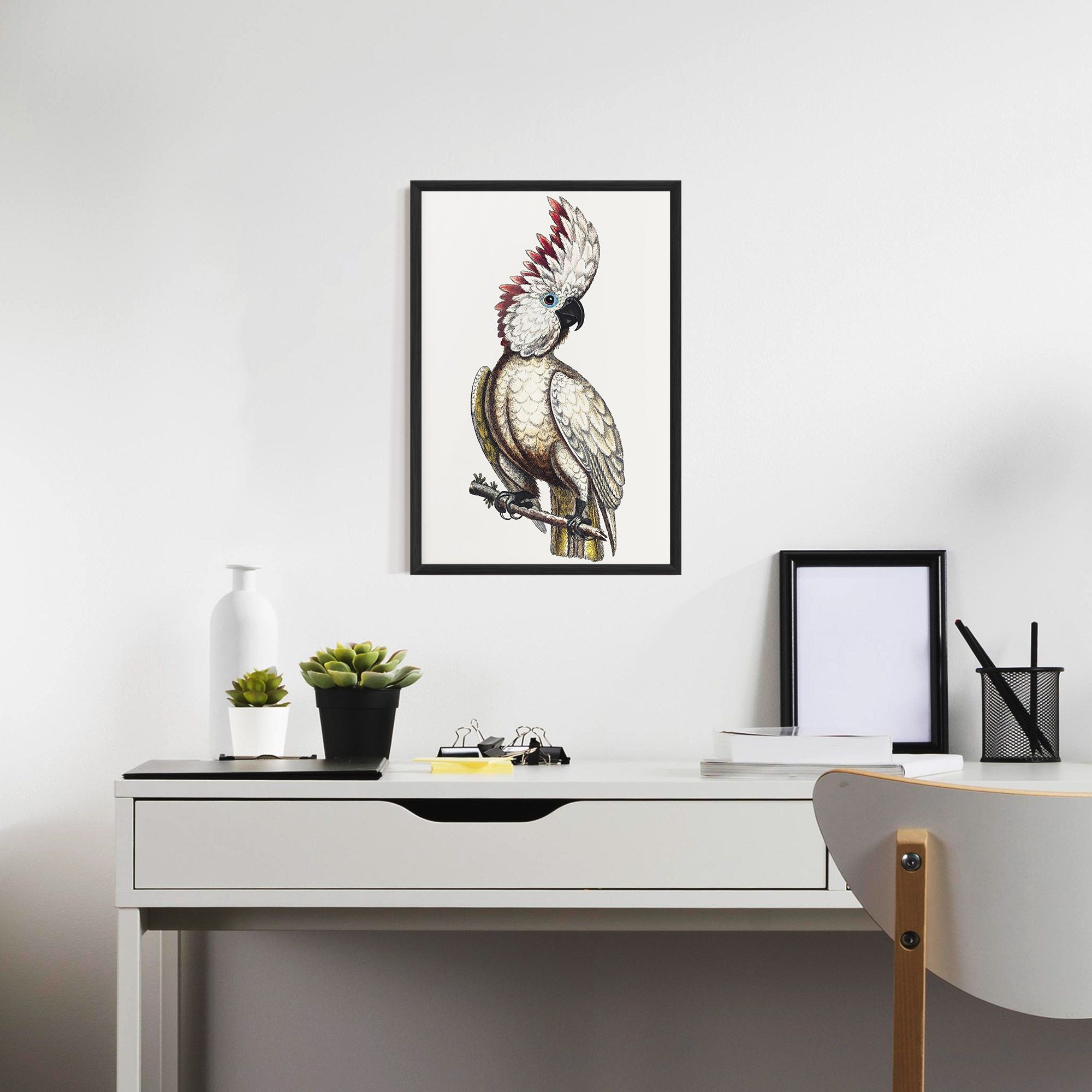 Interesting Bird mockup 7