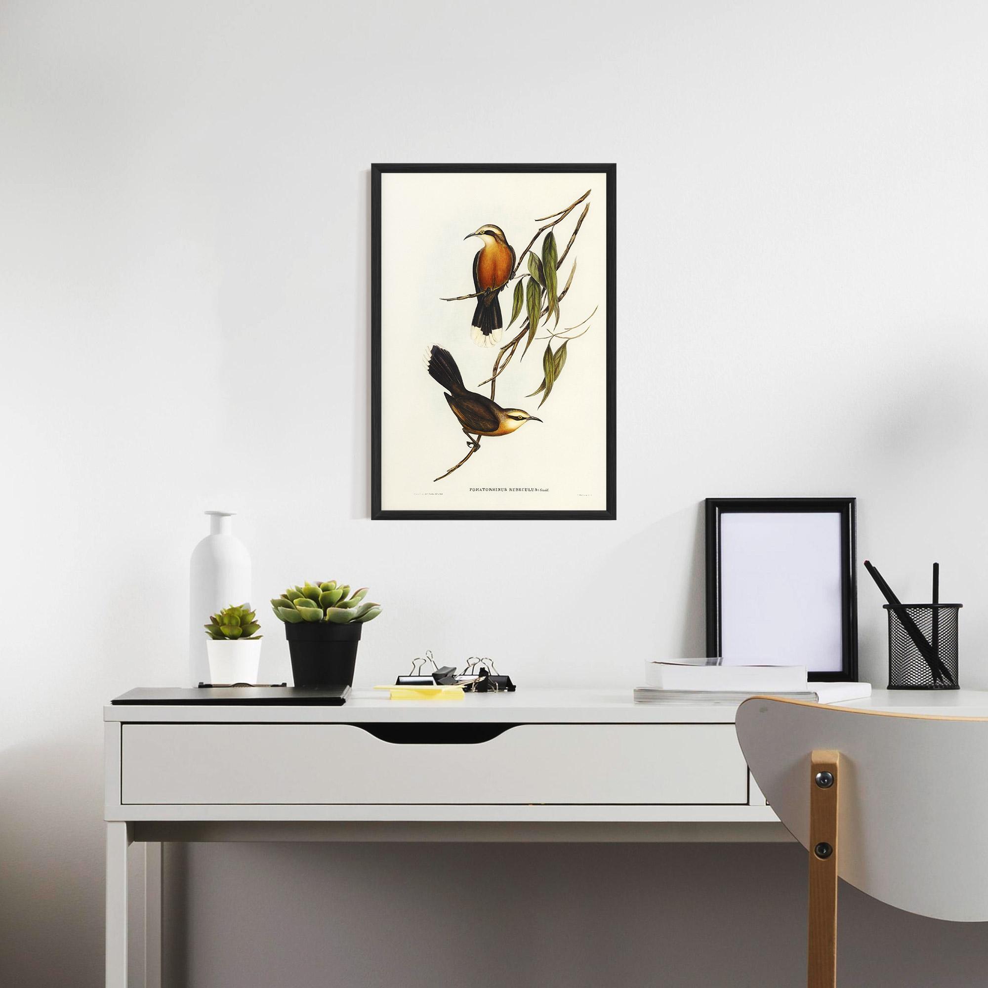 Рамкиран постер Red Pomatorhinus mockup 7