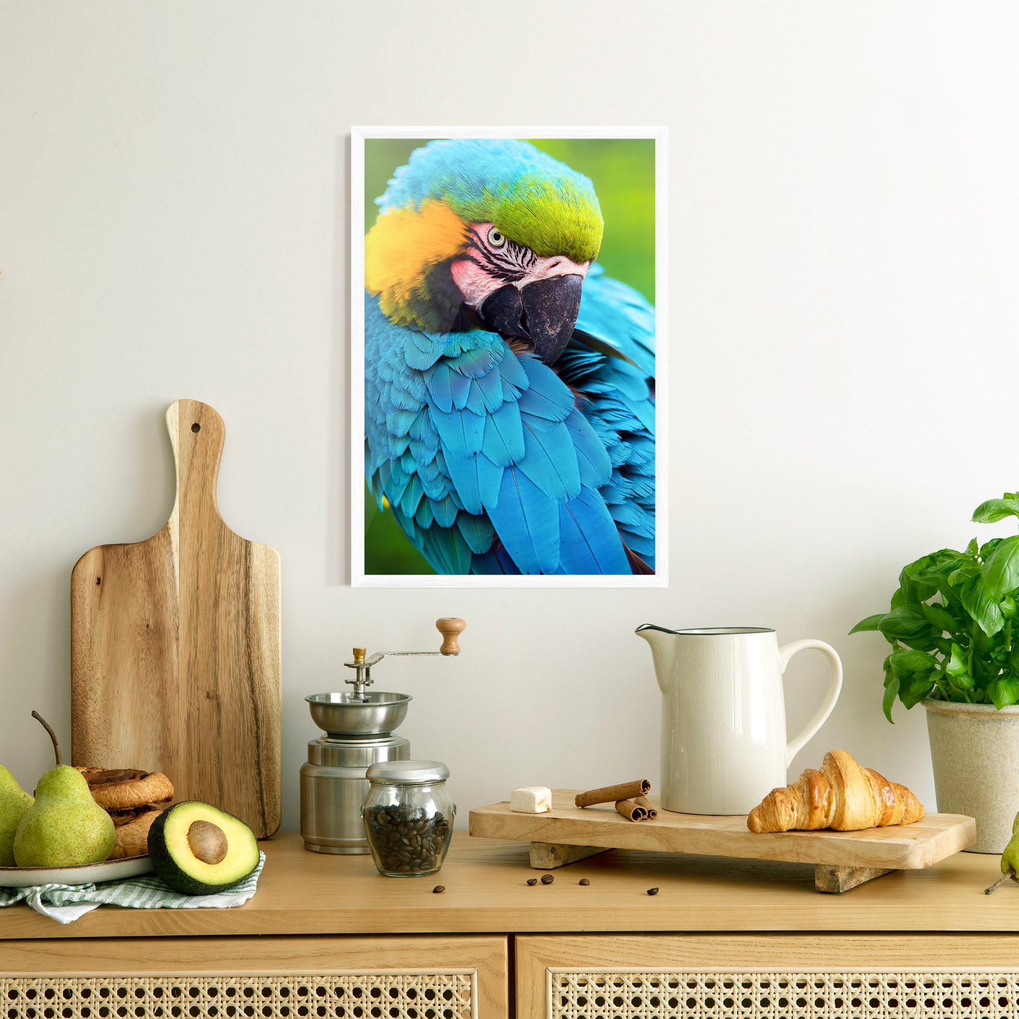 Рамкиран постер Blue Parrot mockup 8