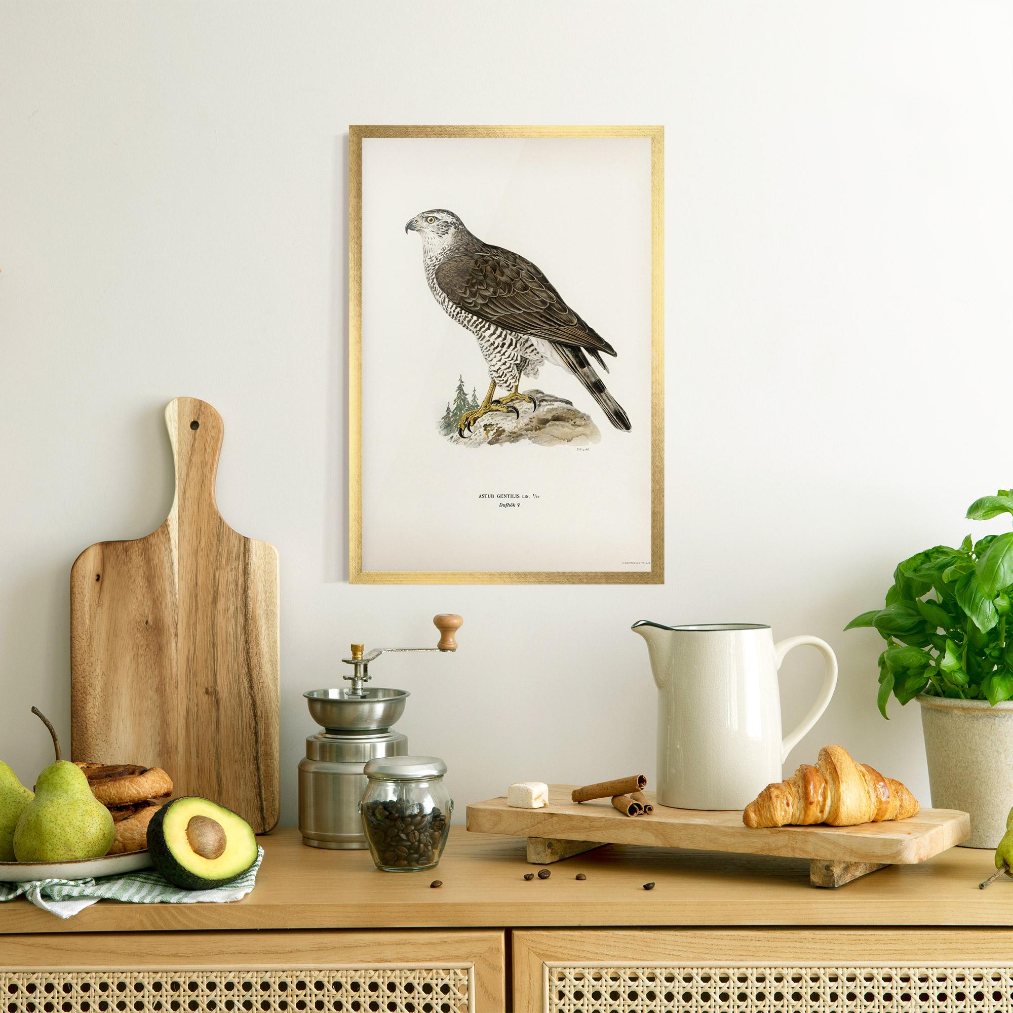 Рамкиран постер Astur Gentilis mockup 8