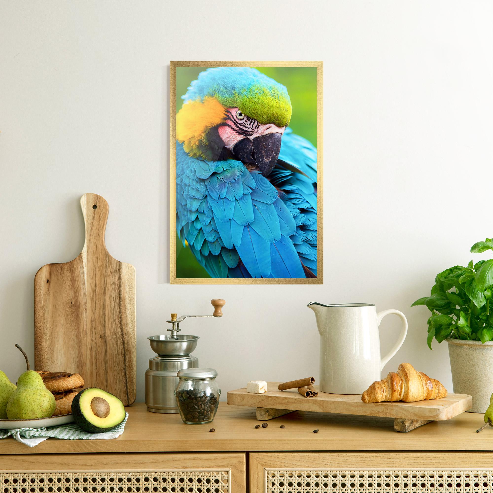 Рамкиран постер Blue Parrot mockup 8