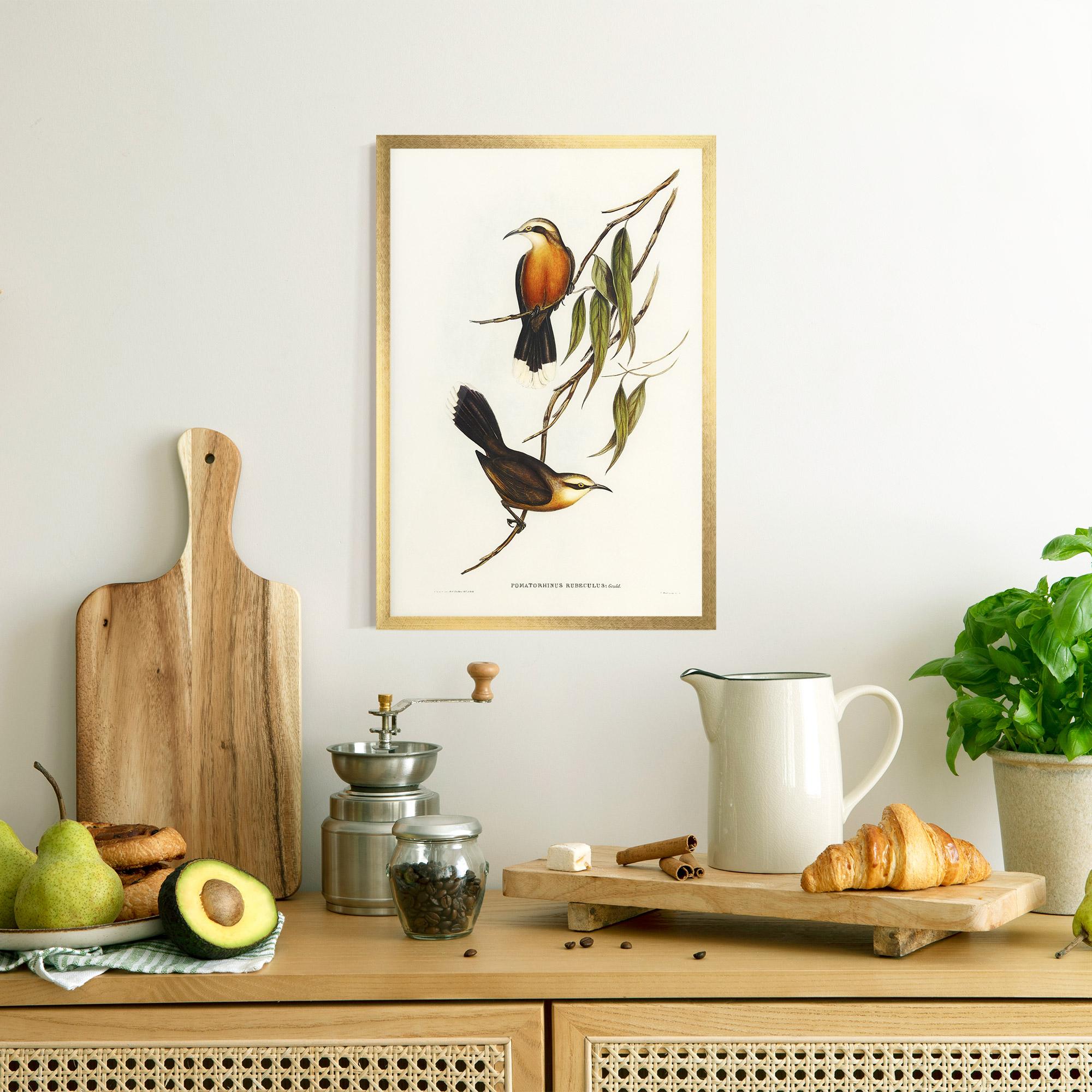 Рамкиран постер Red Pomatorhinus mockup 8