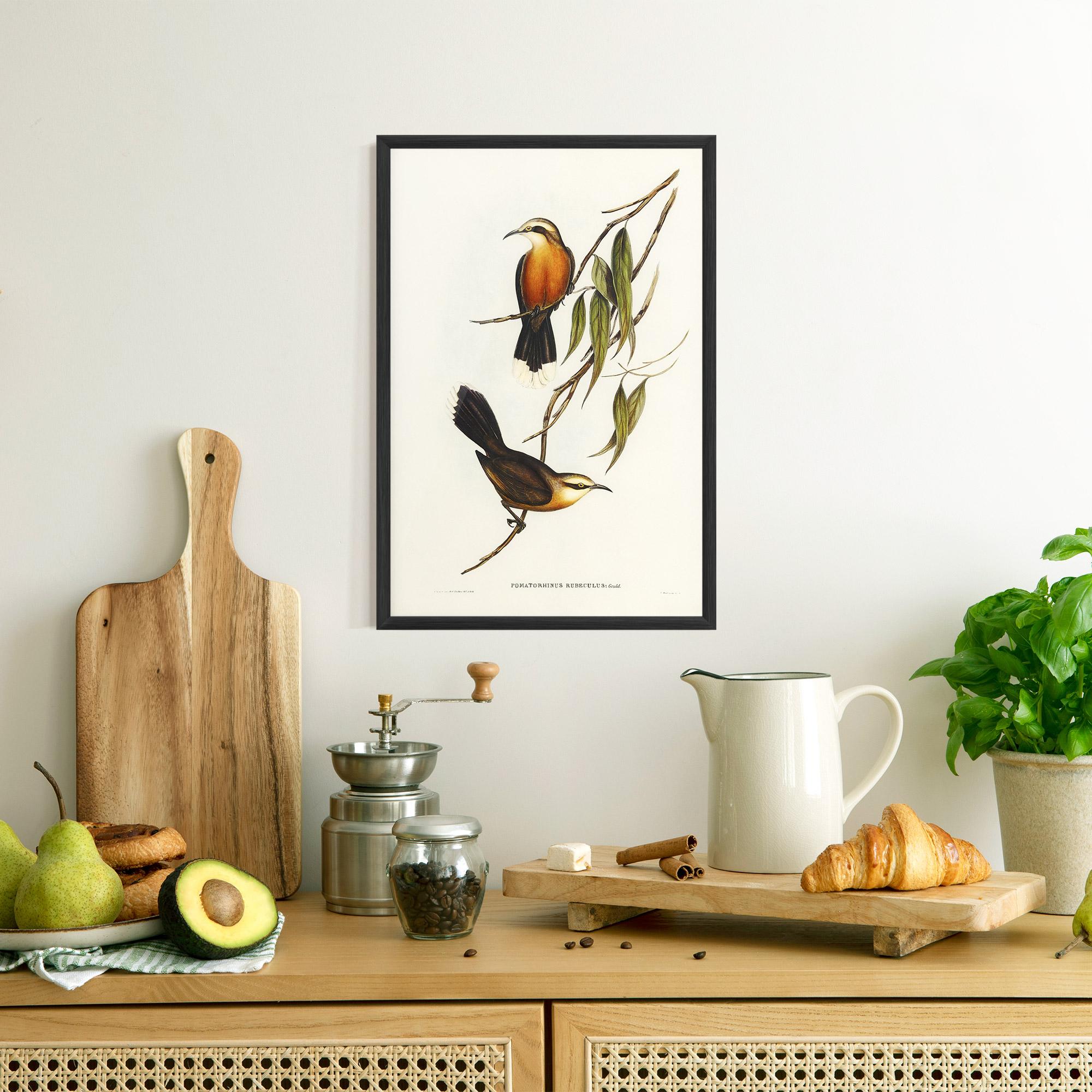 Рамкиран постер Red Pomatorhinus mockup 8