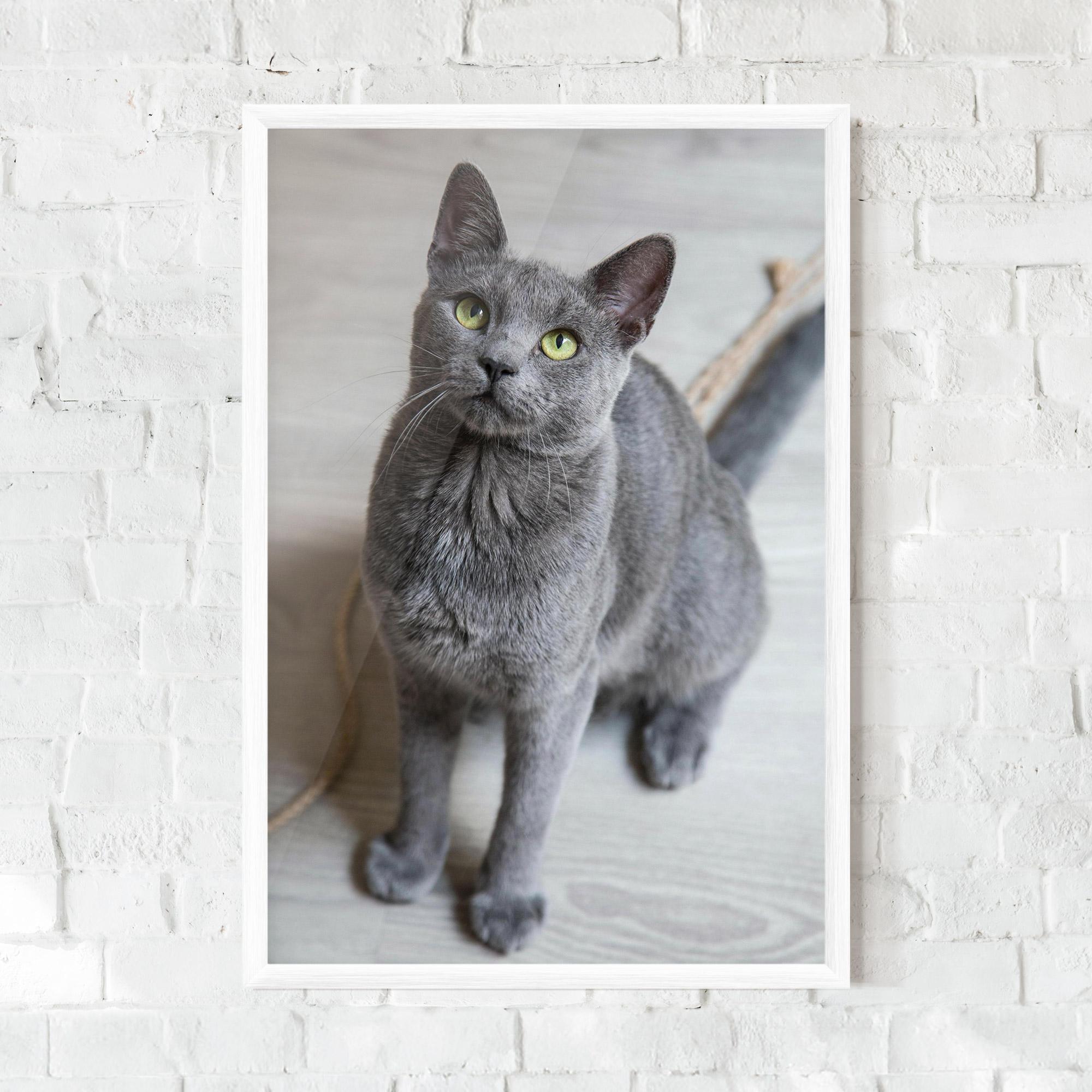 Рамкиран постер Grey Green Cat Eyes mockup 0