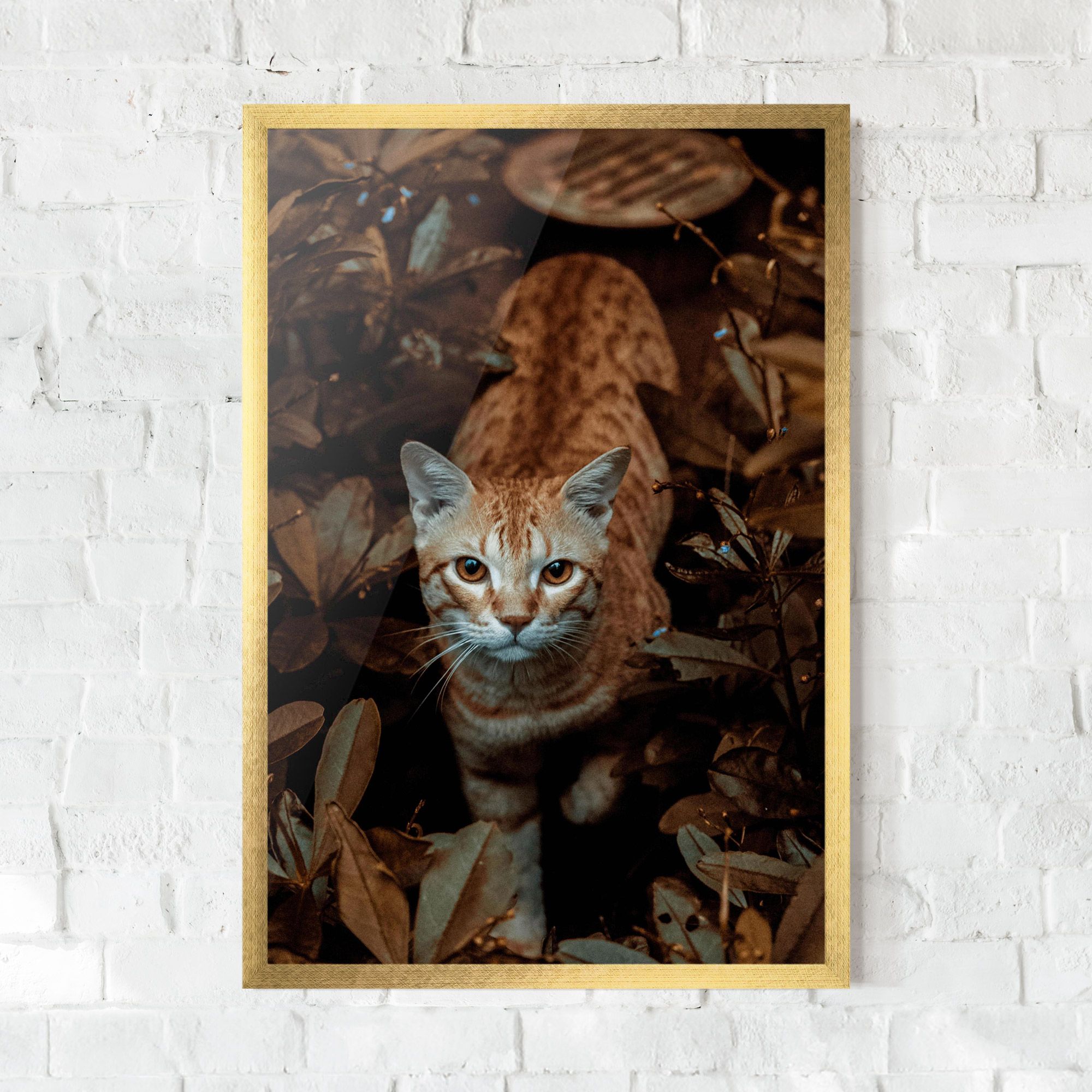 Autumn Orange Cat mockup 0