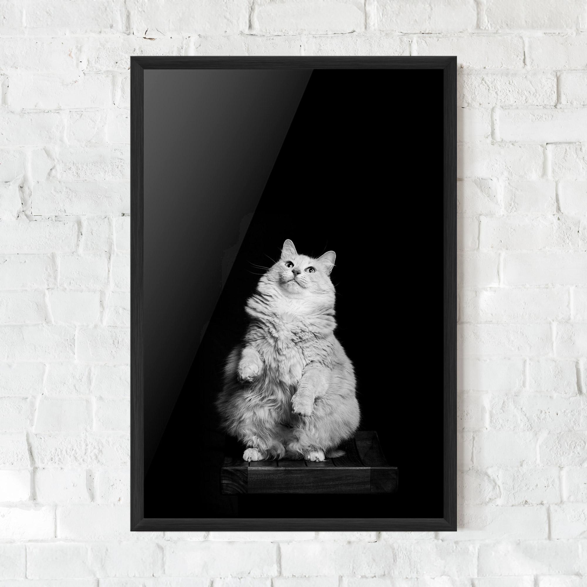 Рамкиран постер Big Fluffy Cat mockup 0