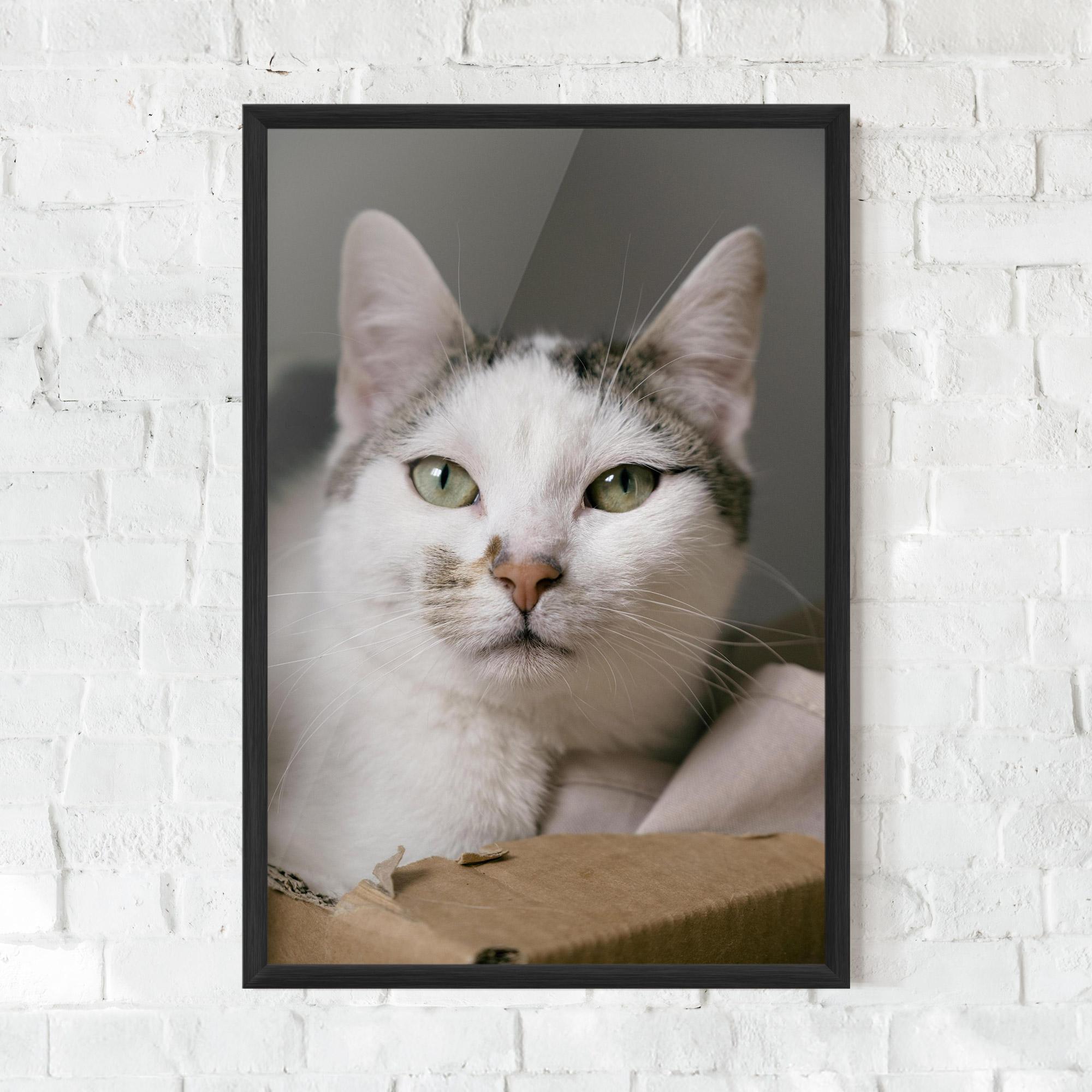 Рамкиран постер Big Sleepy Cat mockup 0