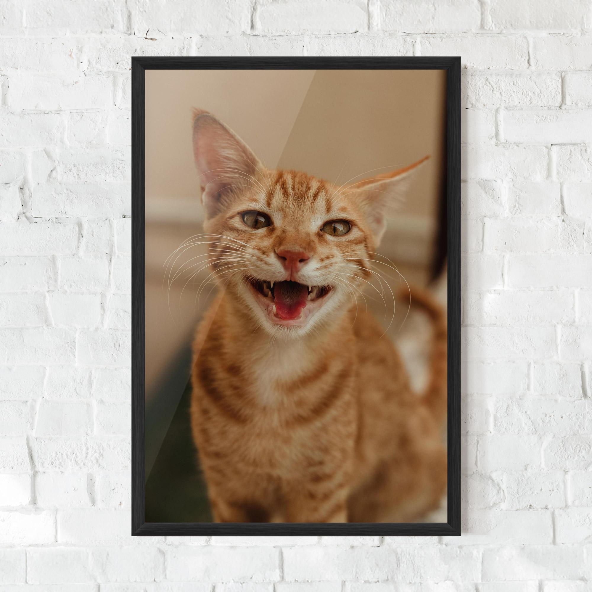 Рамкиран постер Orange Cat Smiling mockup 0