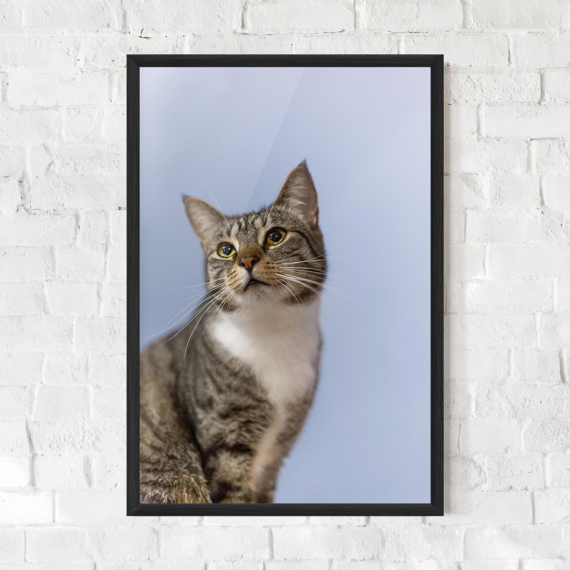 Рамкиран постер Yellow Eyes Cat mockup 0