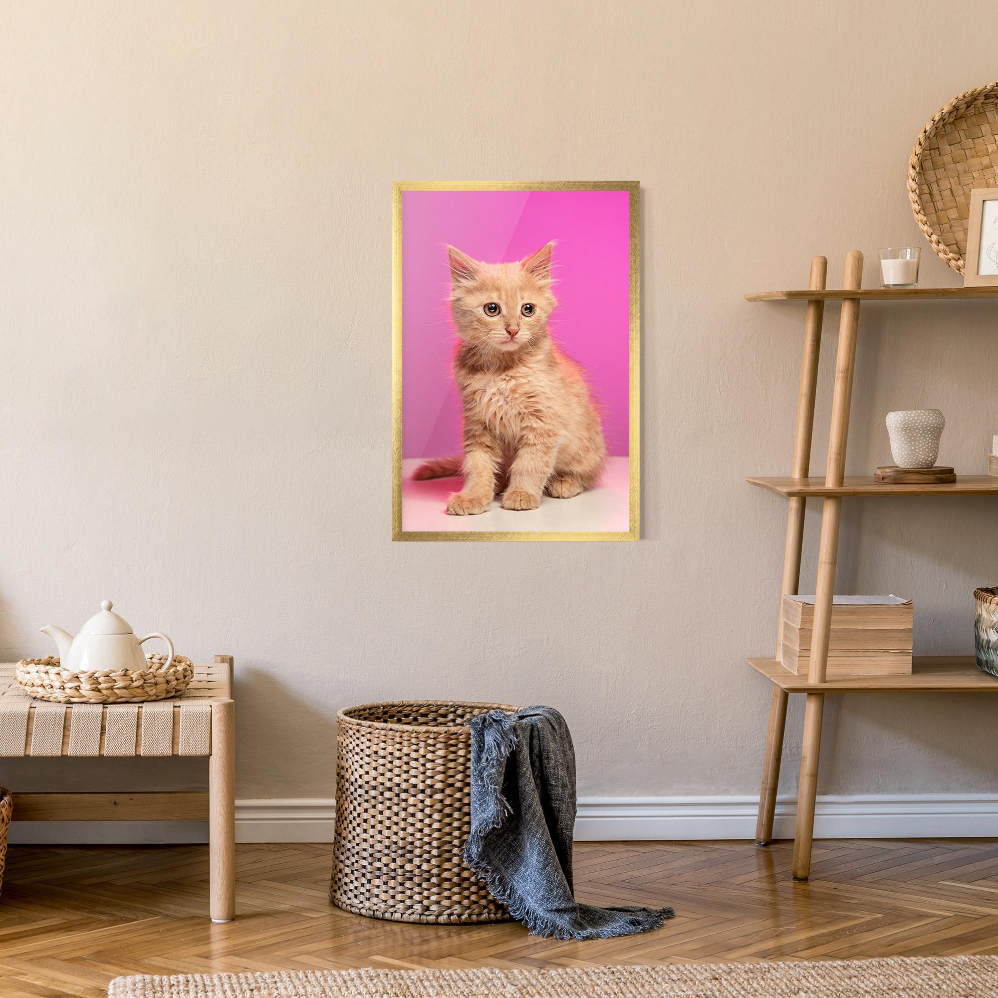 Рамкиран постер Orange Cat On Pink mockup 9