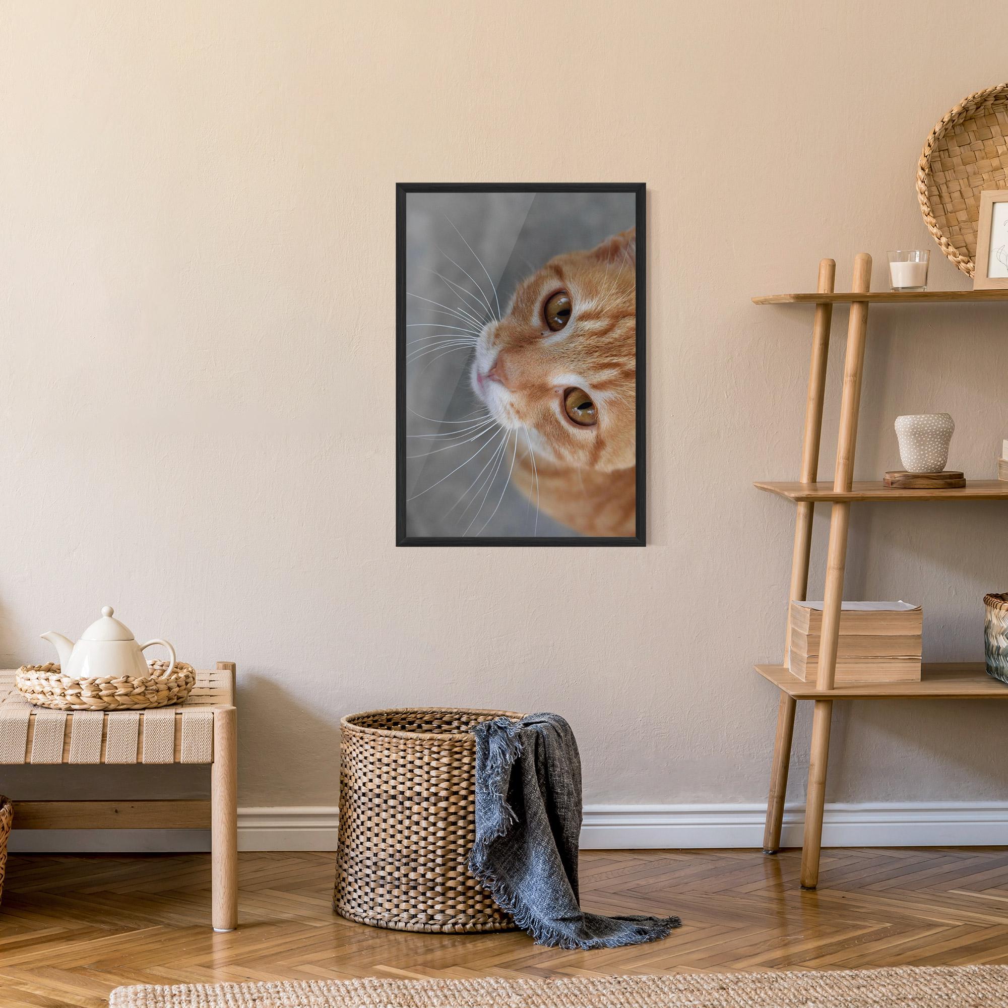 Рамкиран постер Pretty Orange Eyes Cat mockup 9