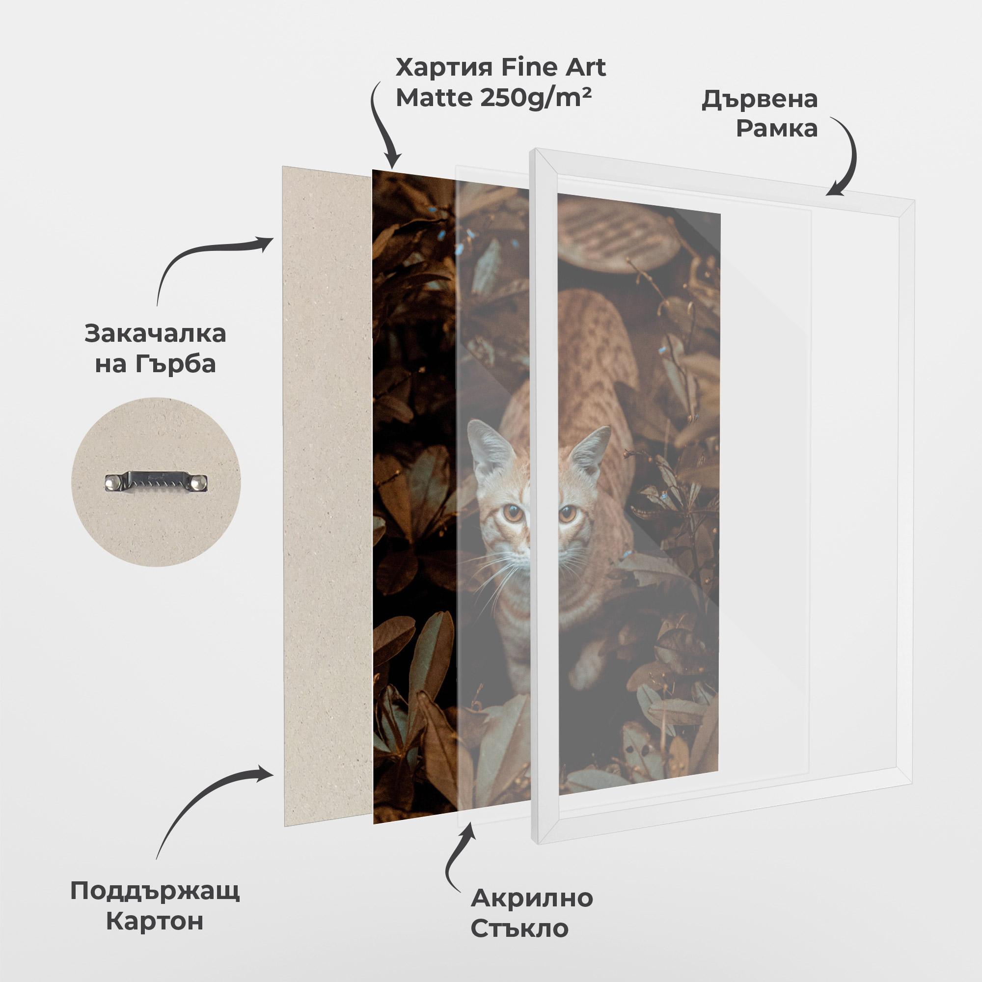 Рамкиран постер Autumn Orange Cat mockup 1