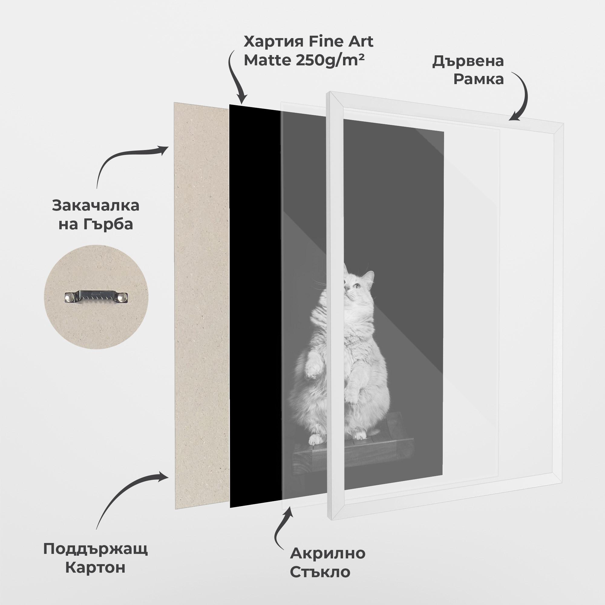 Рамкиран постер Big Fluffy Cat mockup 1