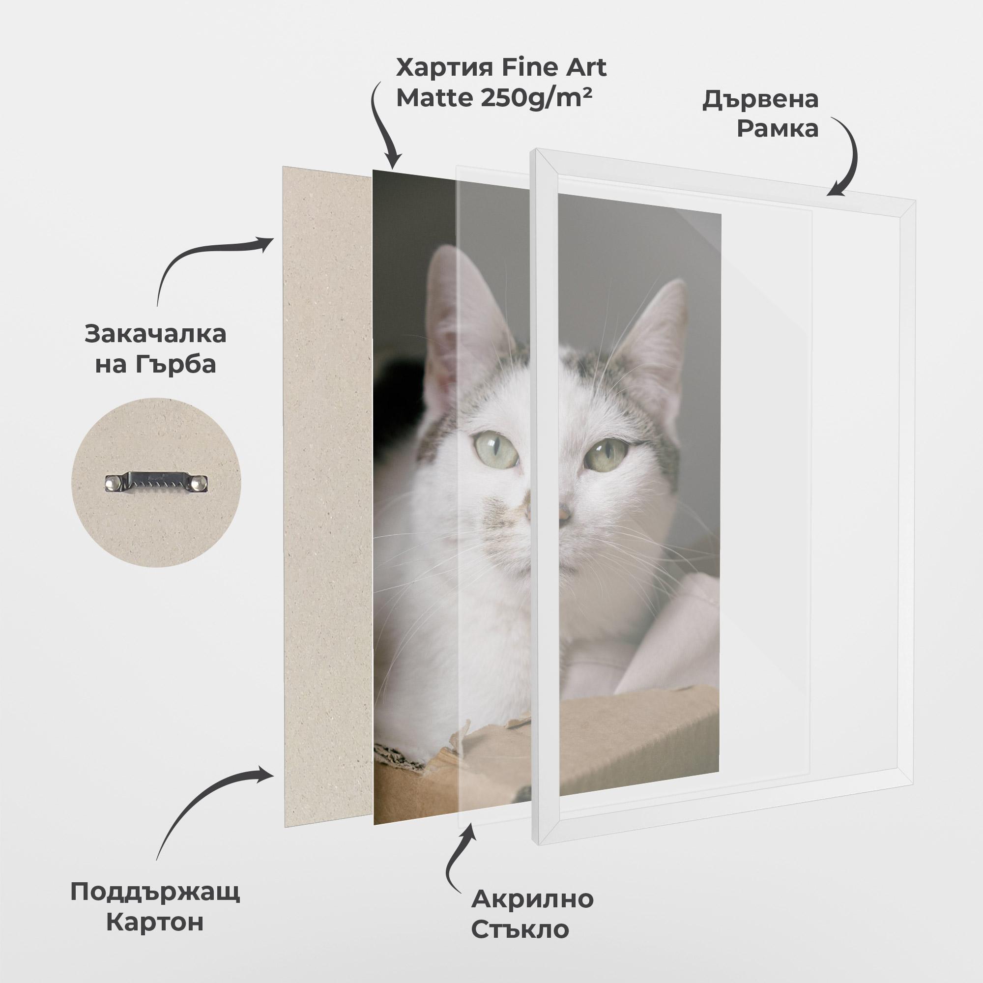 Рамкиран постер Big Sleepy Cat mockup 1