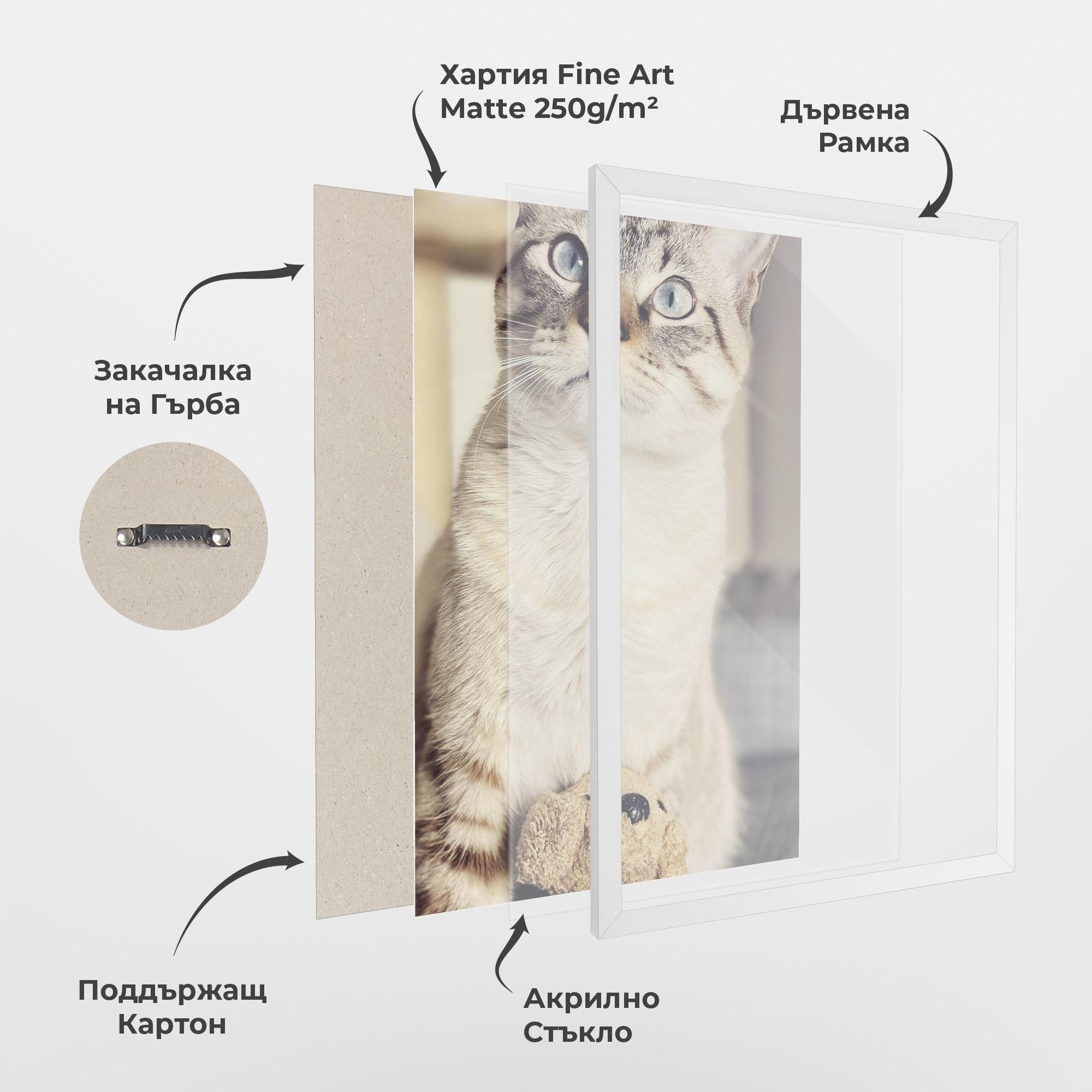 Рамкиран постер Pretty Blue Eyes Cat mockup 1