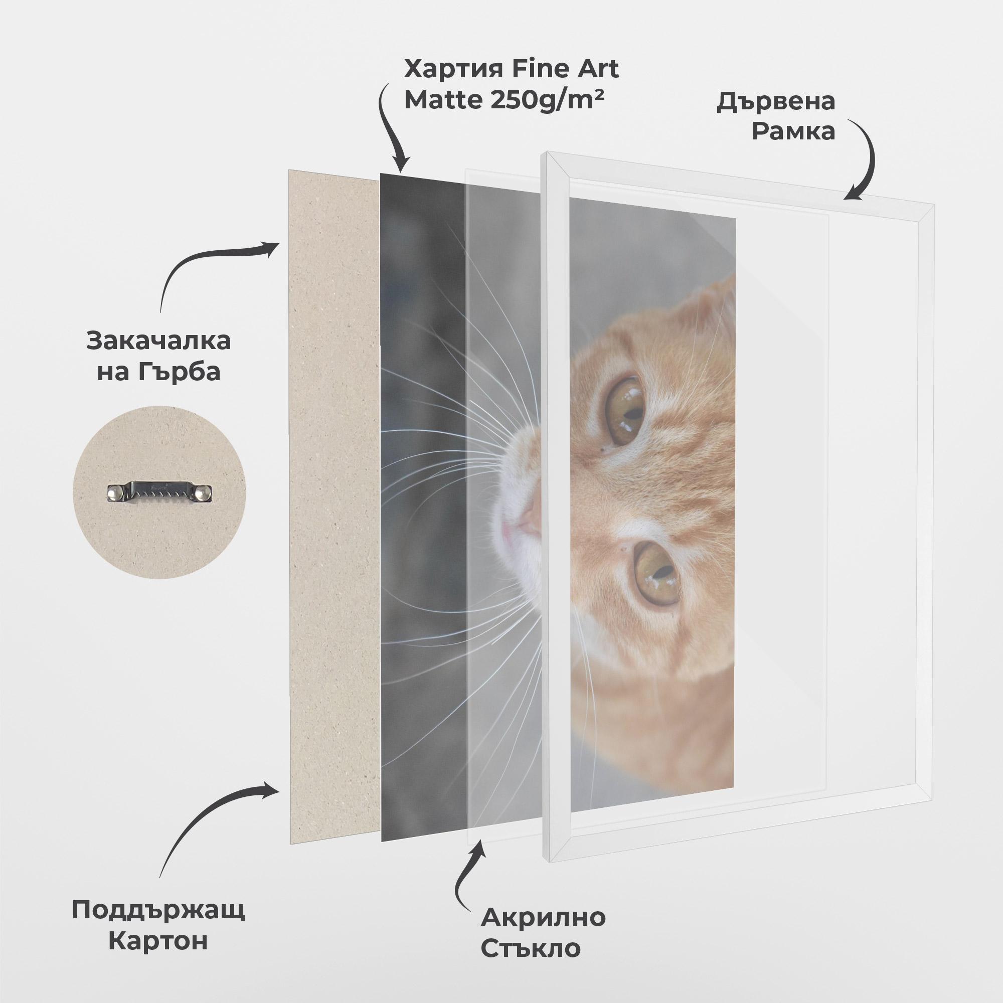 Рамкиран постер Pretty Orange Eyes Cat mockup 1