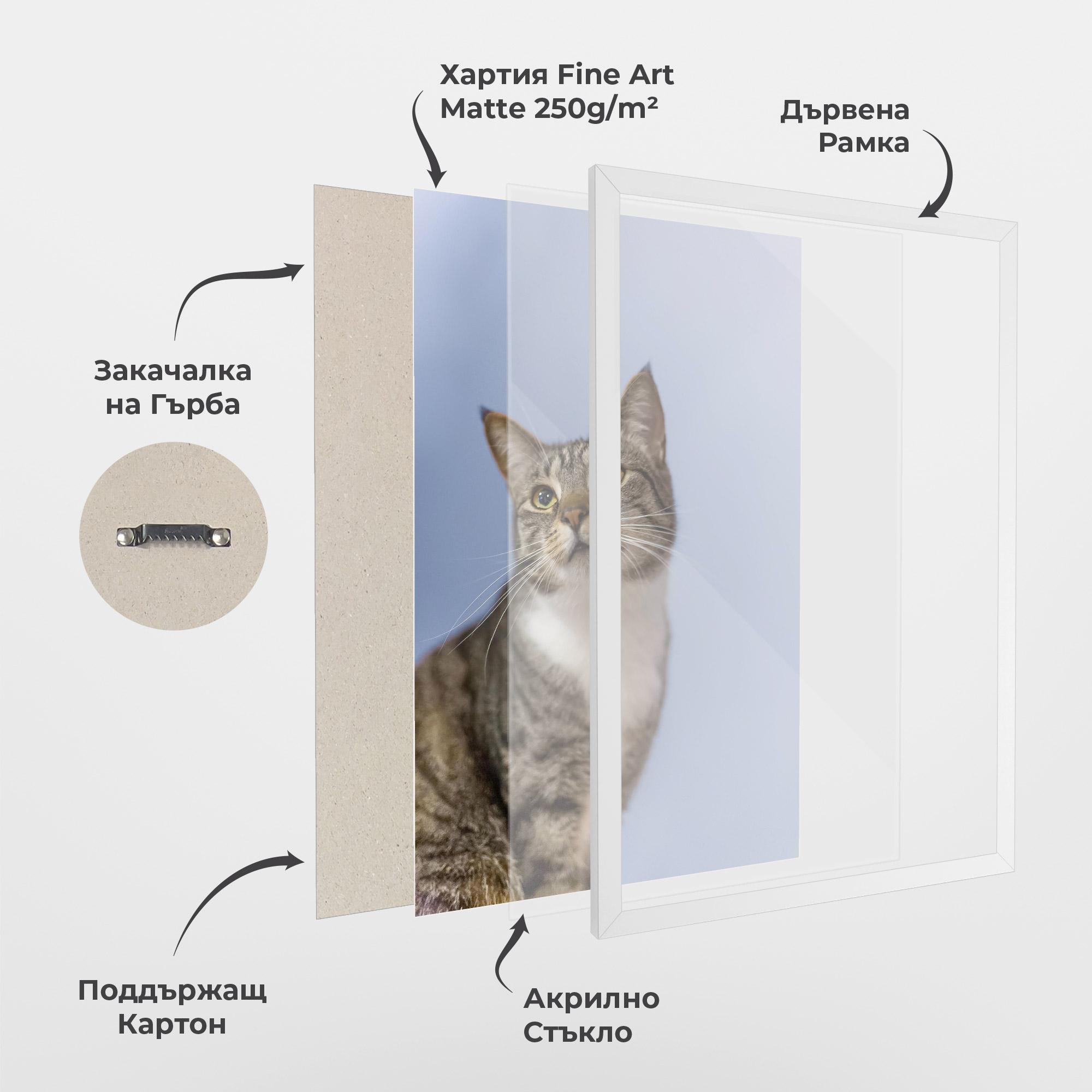 Рамкиран постер Yellow Eyes Cat mockup 1