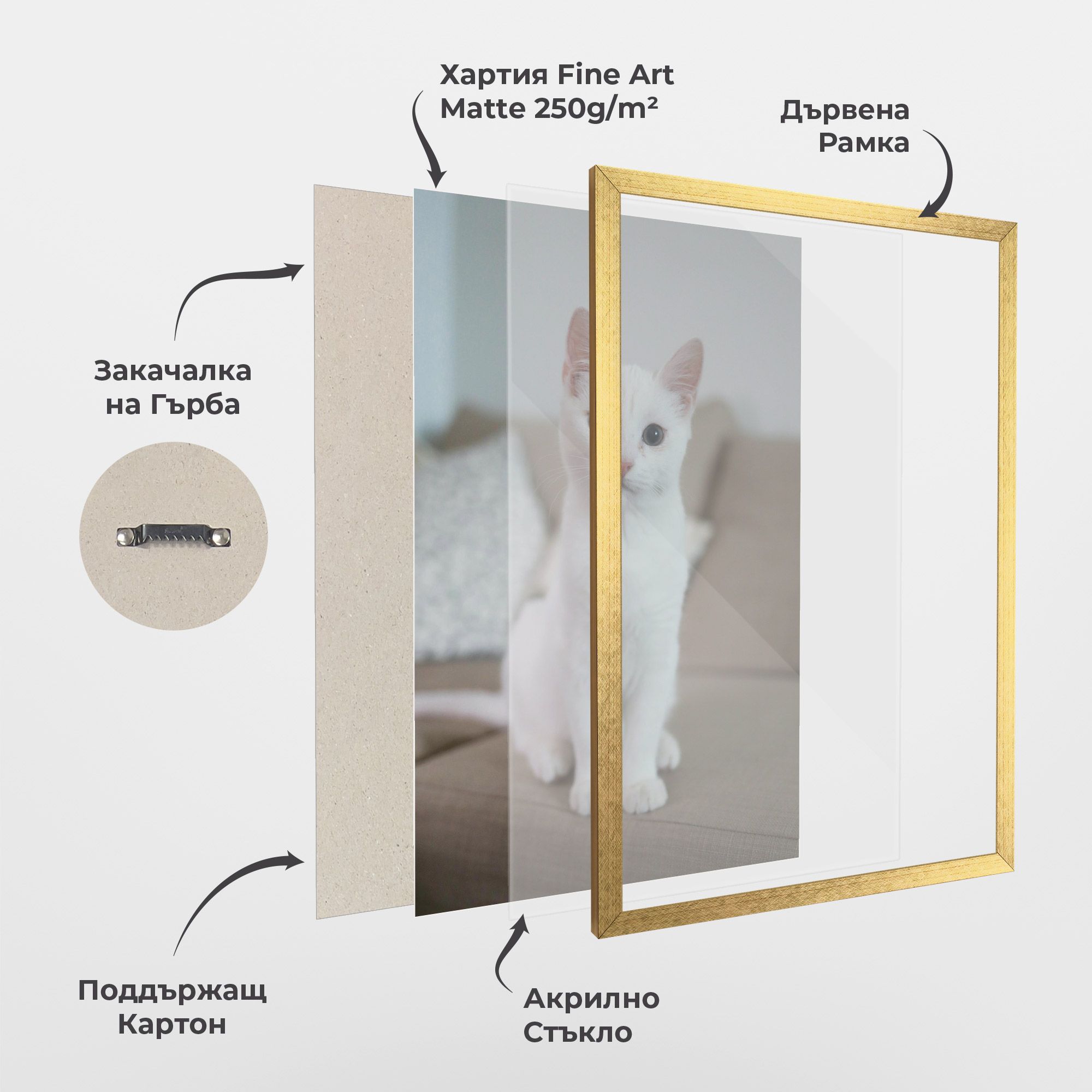 Beautiful White Cat mockup 1