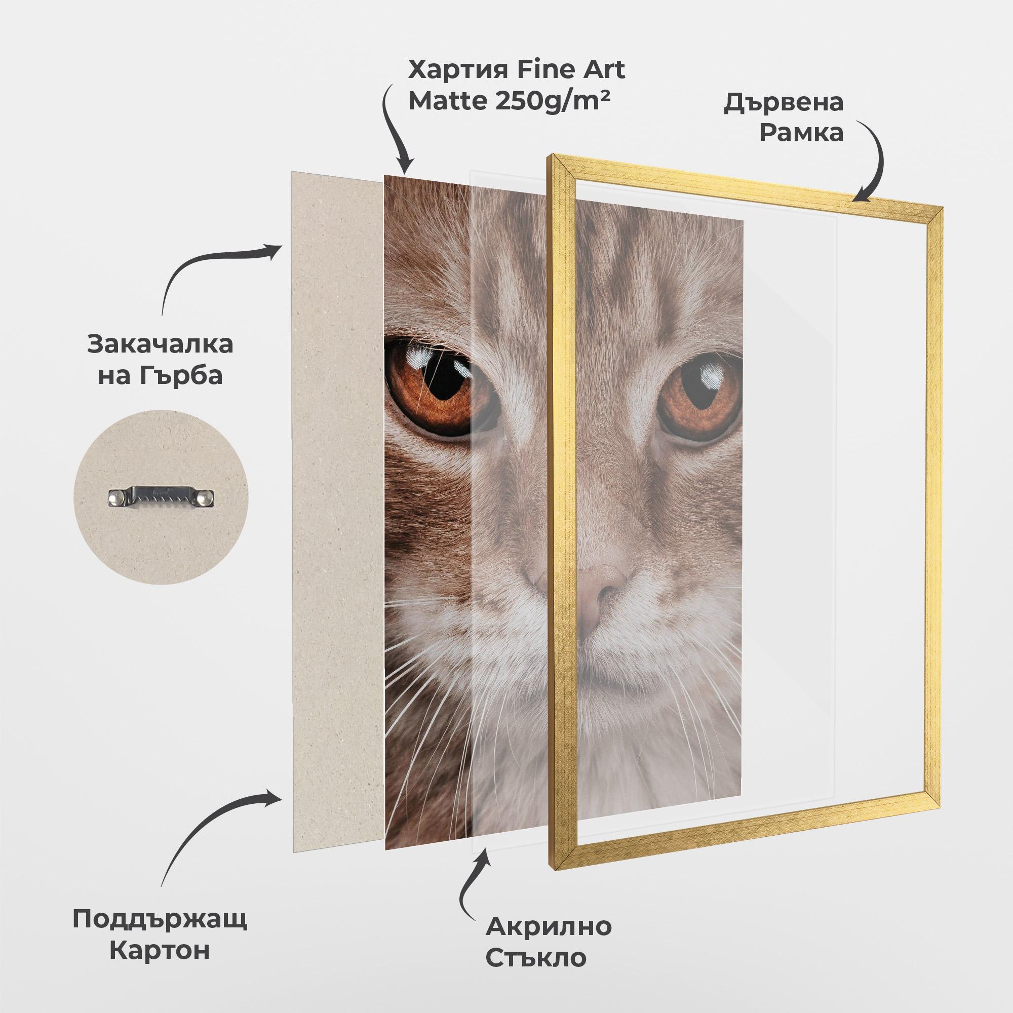 Рамкиран постер Fire Eyes Cat mockup 1