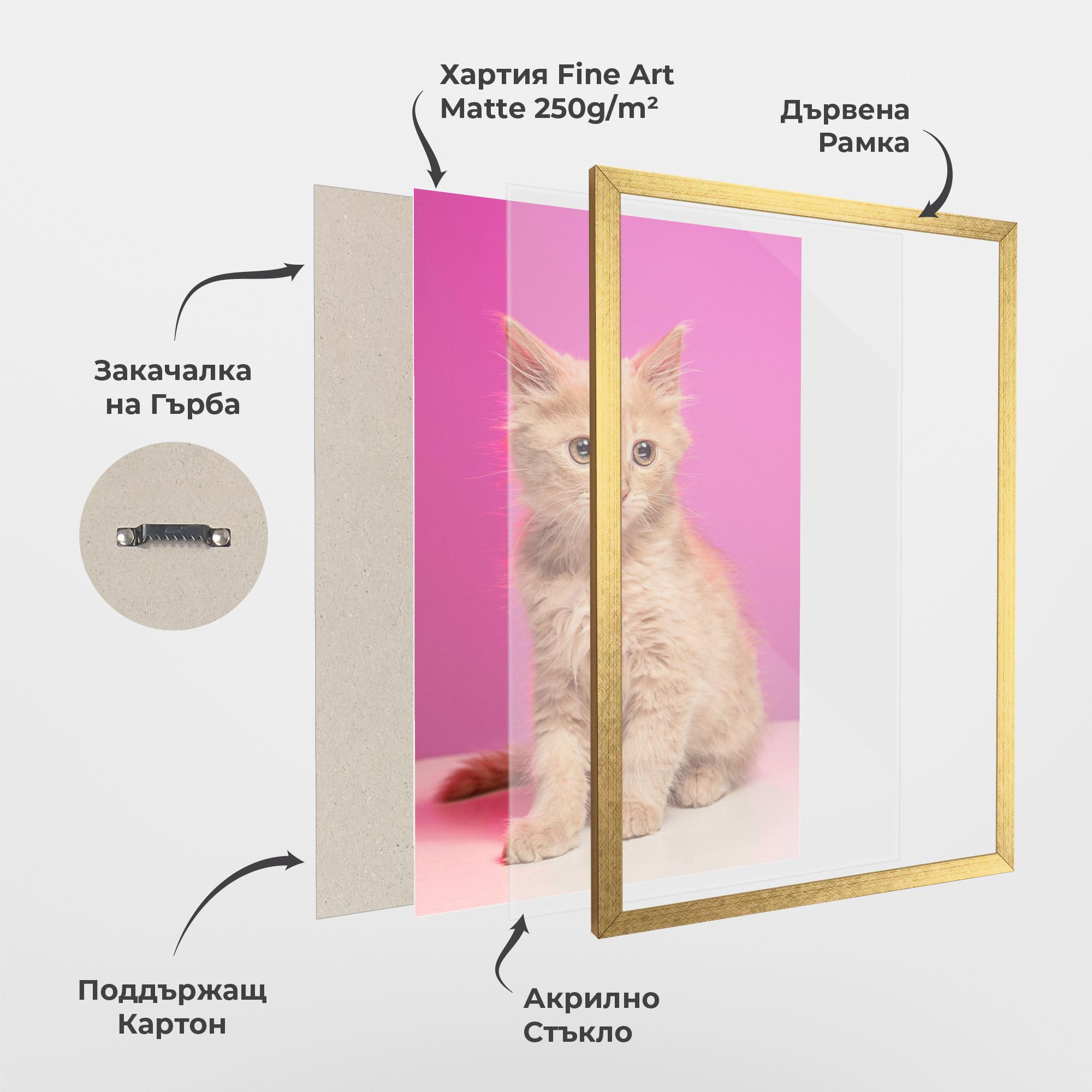 Рамкиран постер Orange Cat On Pink mockup 1
