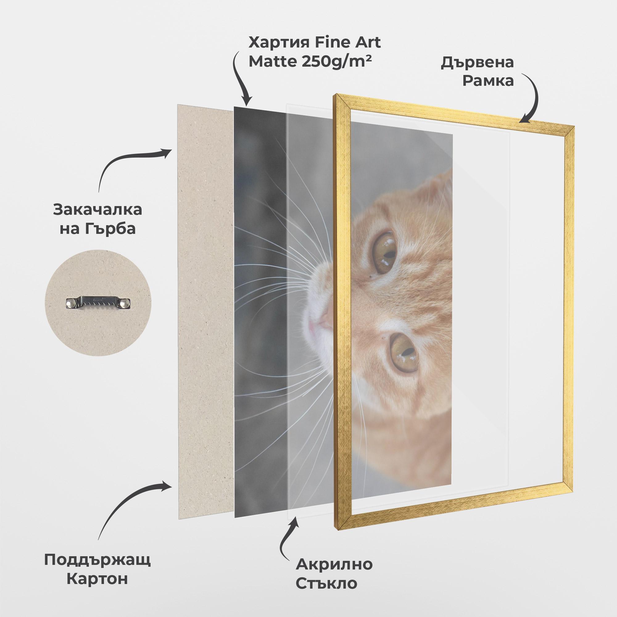 Рамкиран постер Pretty Orange Eyes Cat mockup 1