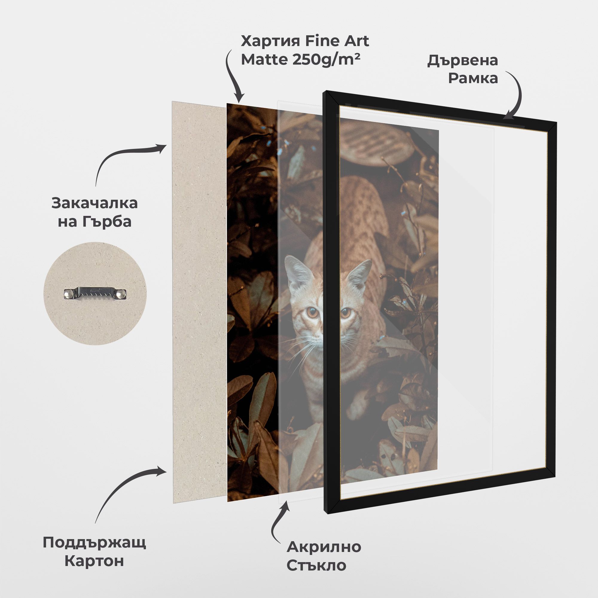 Autumn Orange Cat mockup 1