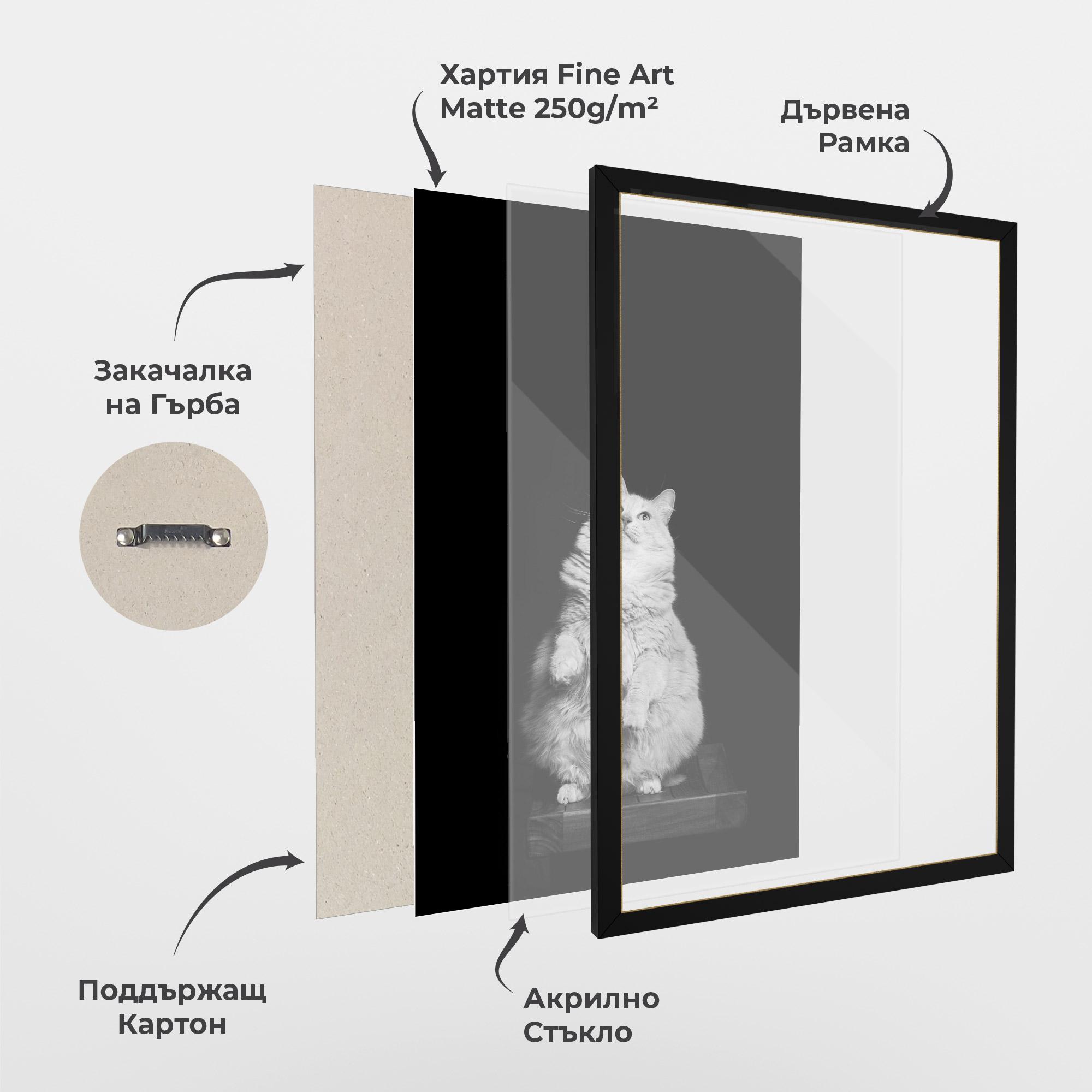 Рамкиран постер Big Fluffy Cat mockup 1