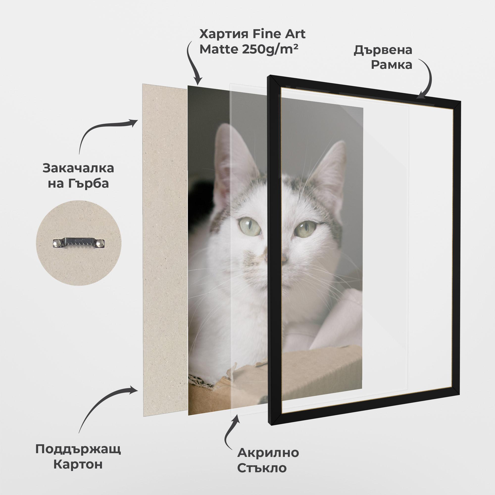 Рамкиран постер Big Sleepy Cat mockup 1