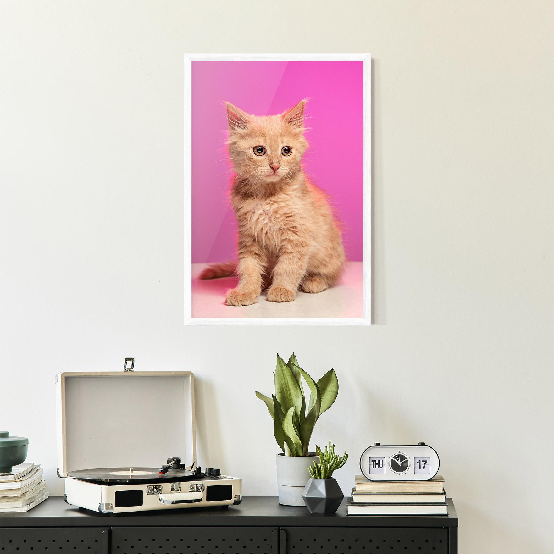 Рамкиран постер Orange Cat On Pink mockup 2