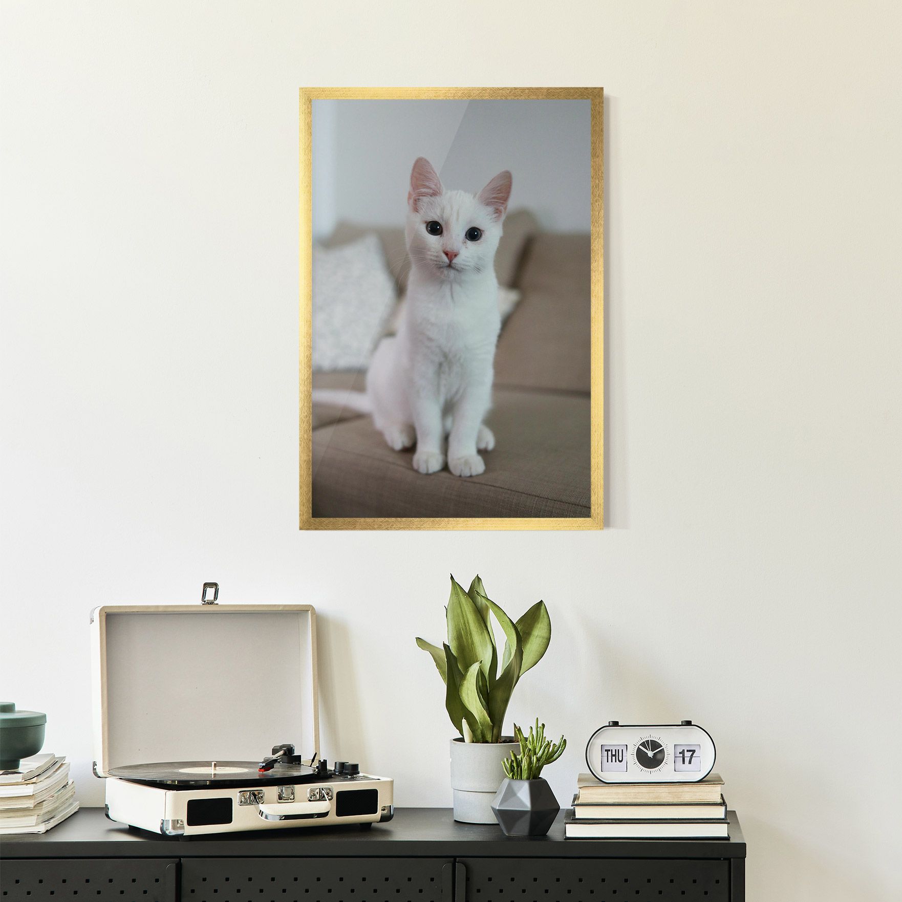 Beautiful White Cat mockup 2