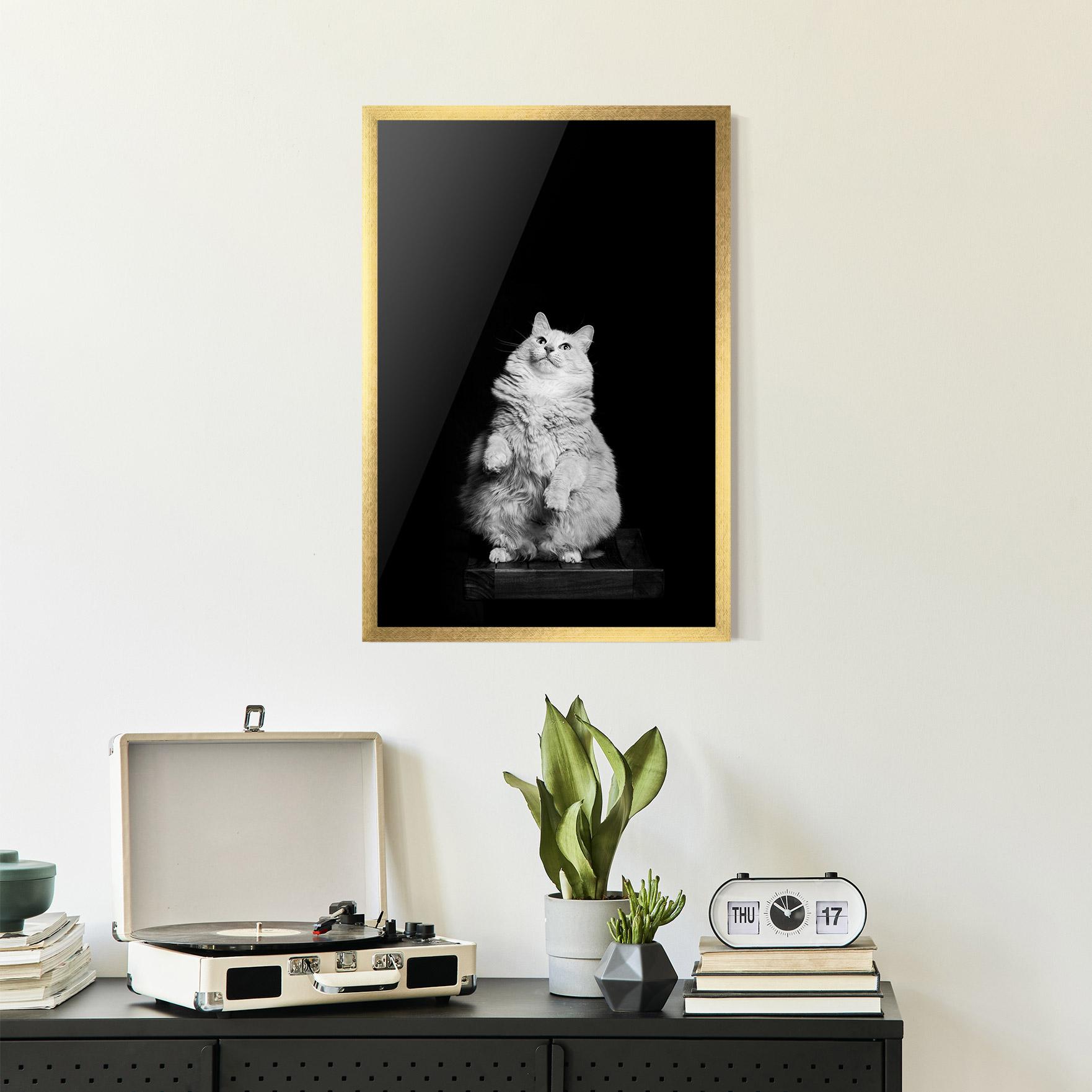 Рамкиран постер Big Fluffy Cat mockup 2