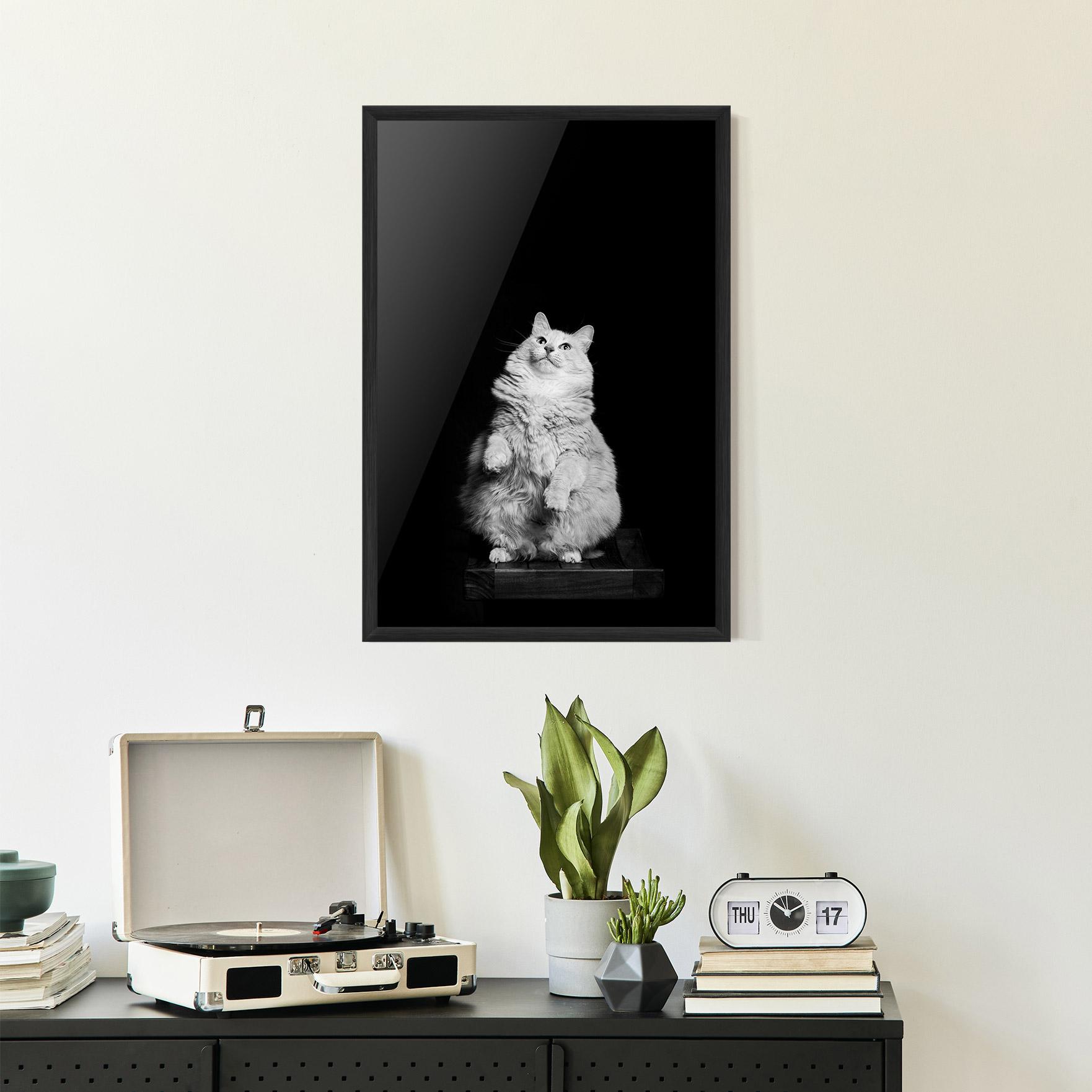 Рамкиран постер Big Fluffy Cat mockup 2
