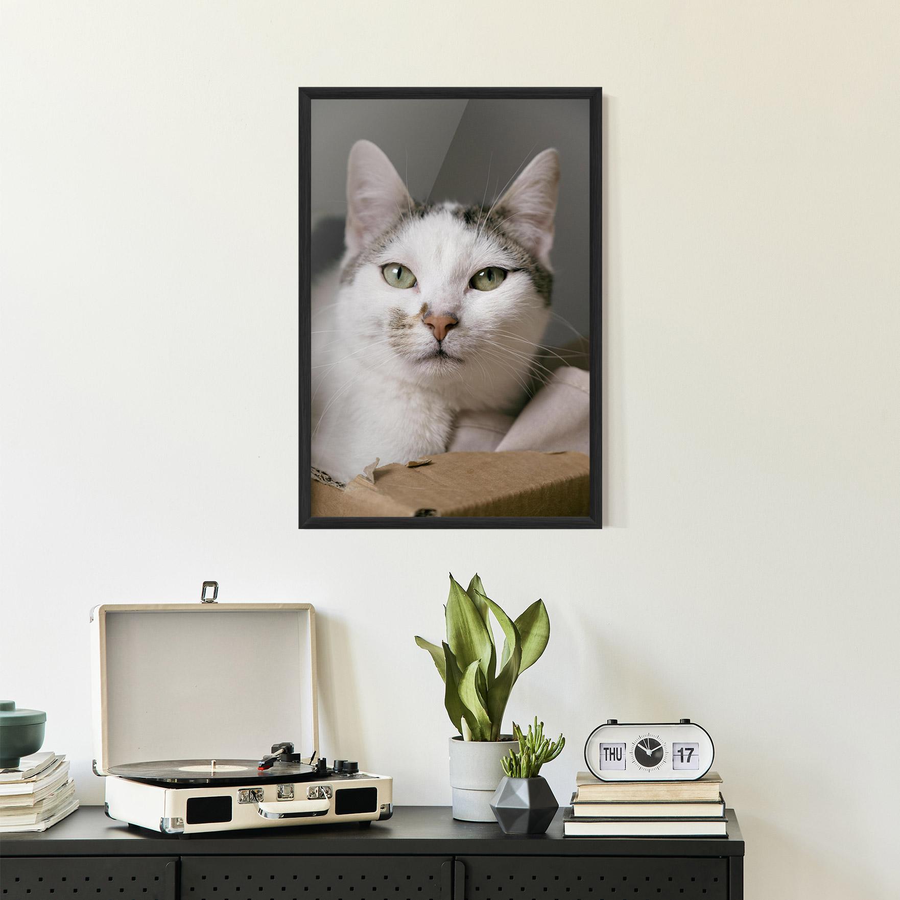 Рамкиран постер Big Sleepy Cat mockup 2