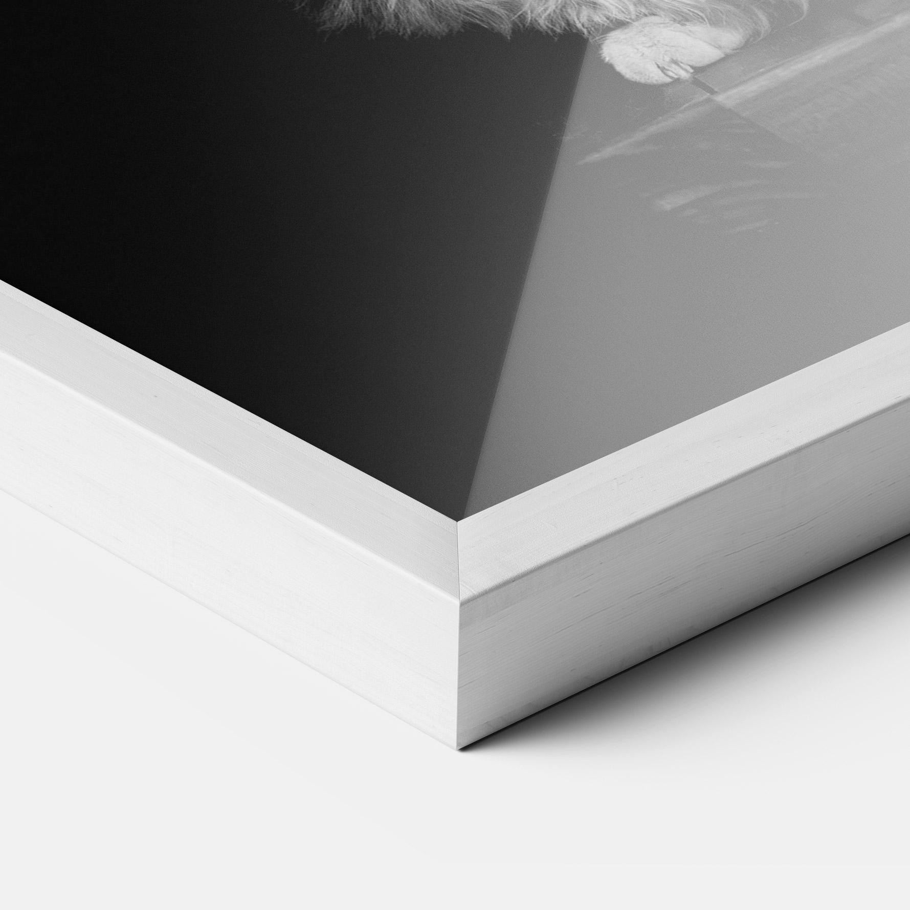 Рамкиран постер Big Fluffy Cat mockup 3