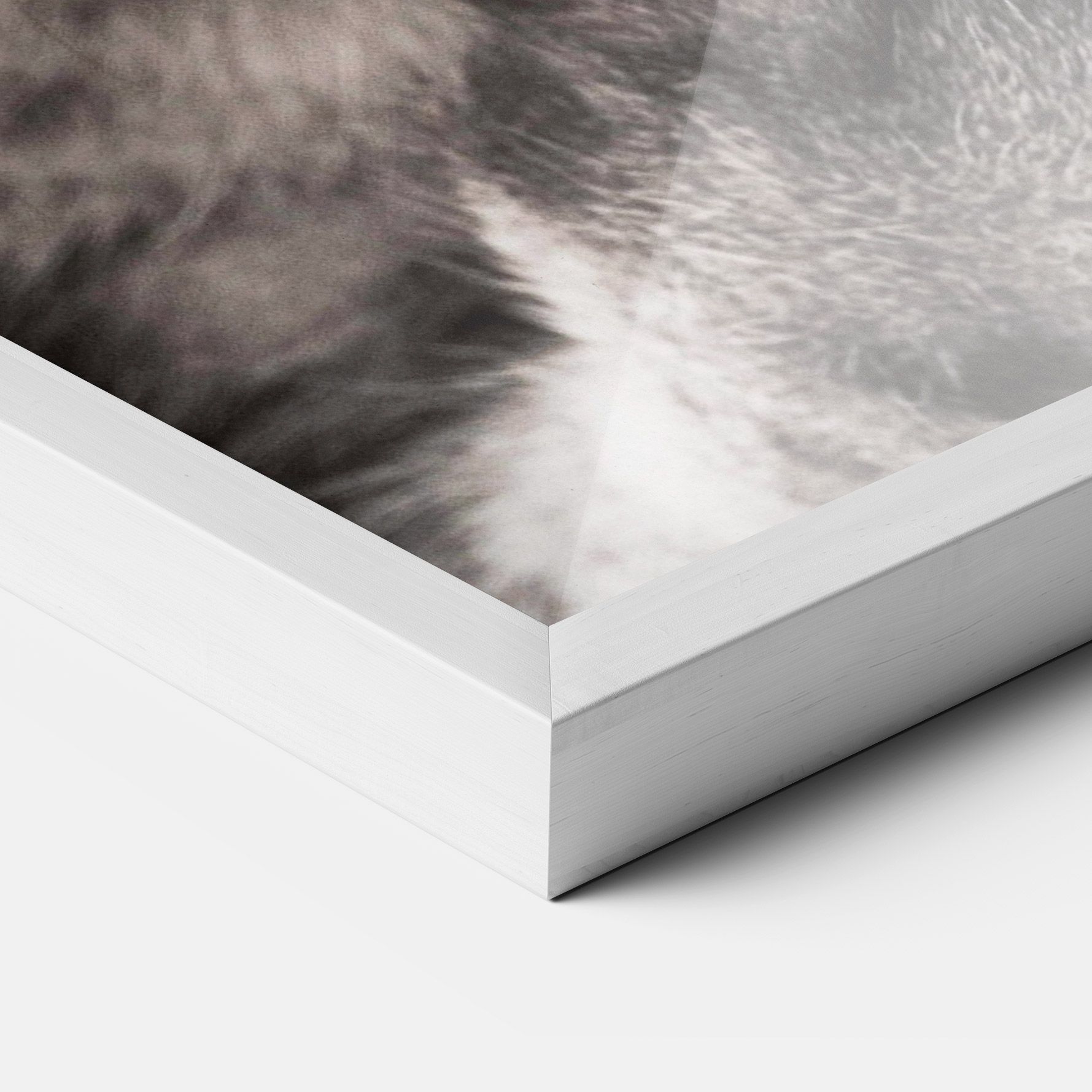 Green Eyes Close Up Cat mockup 3