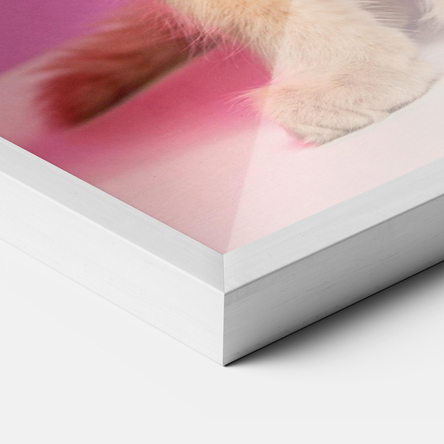 Рамкиран постер Orange Cat On Pink mockup 3