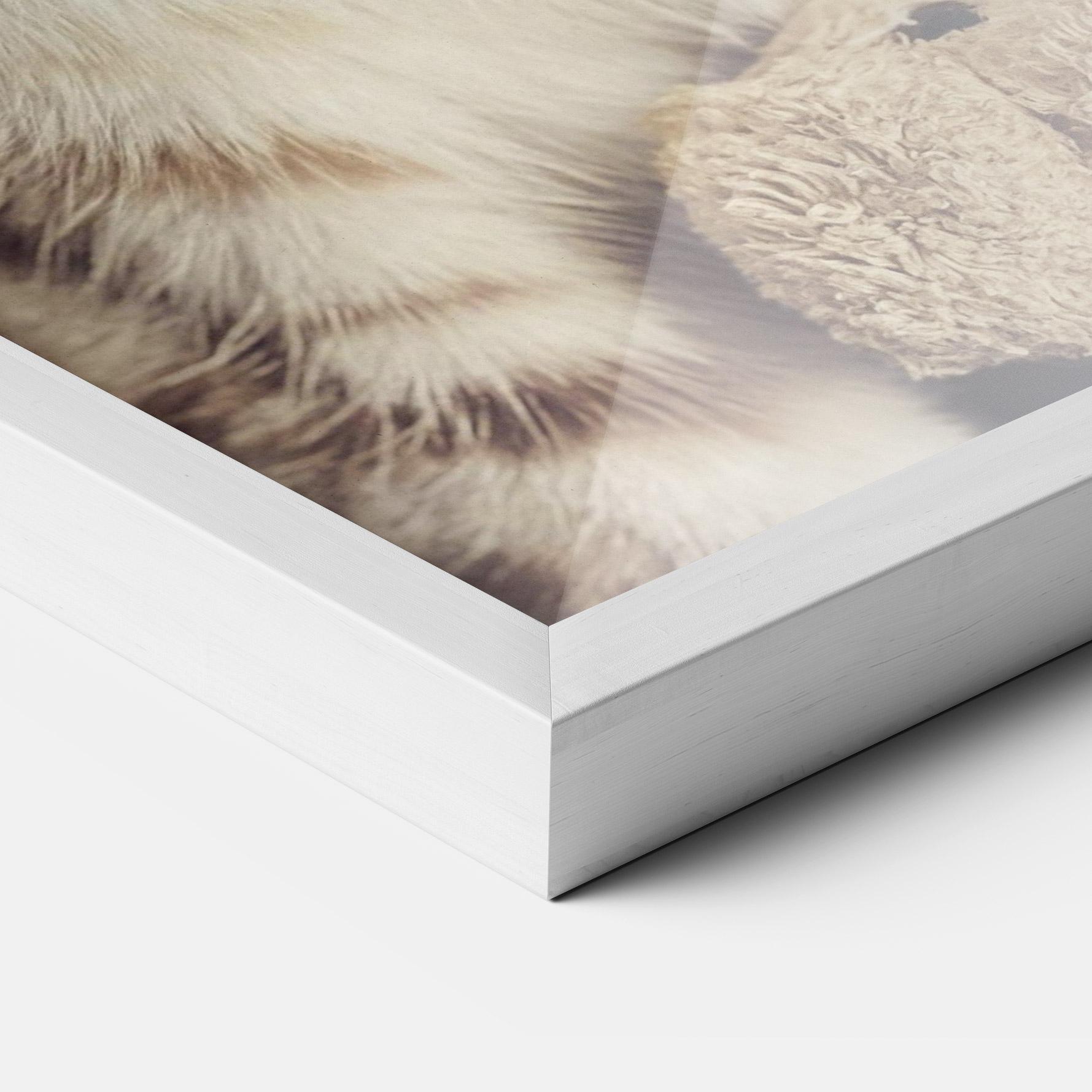 Рамкиран постер Pretty Blue Eyes Cat mockup 3