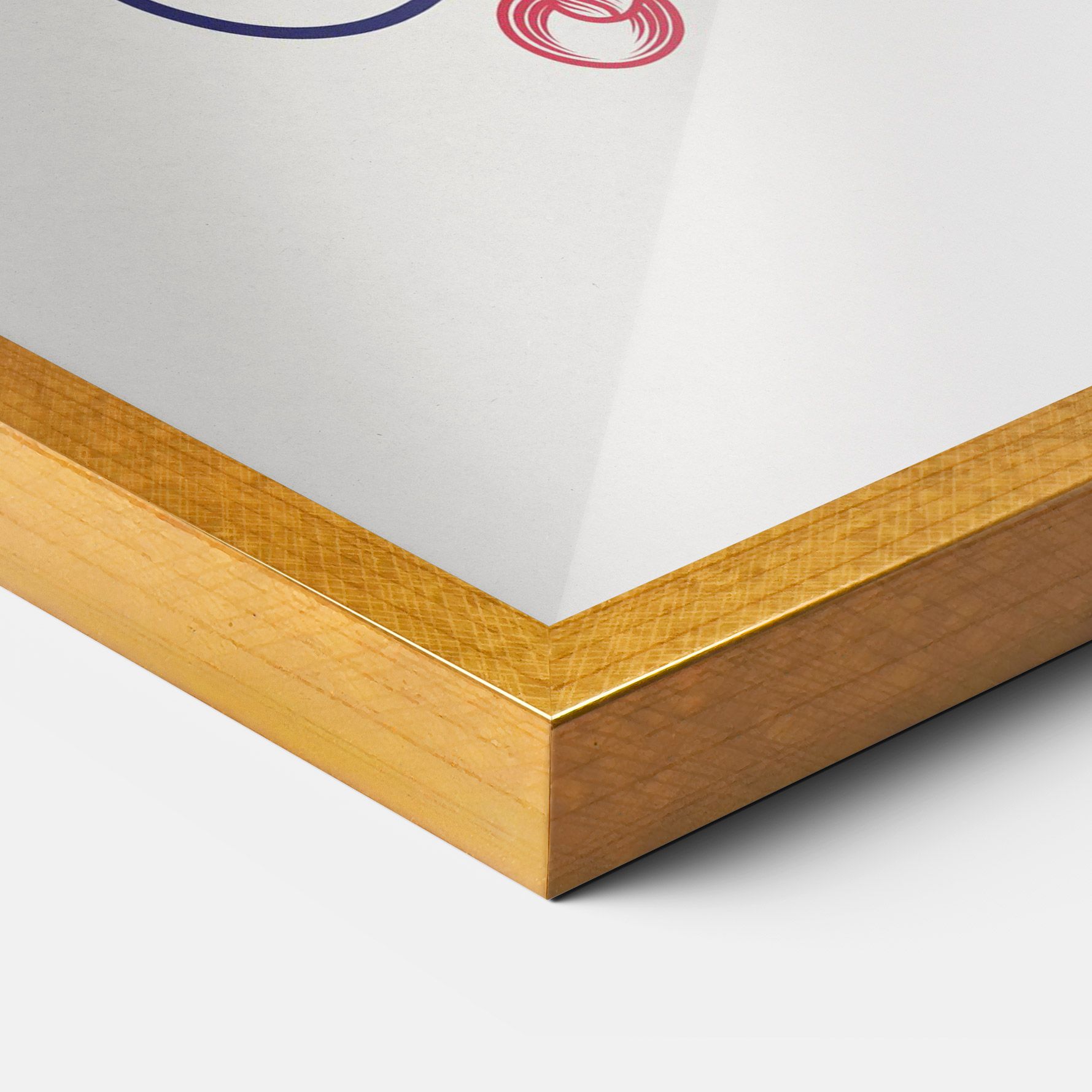 Asiatic Cat mockup 3