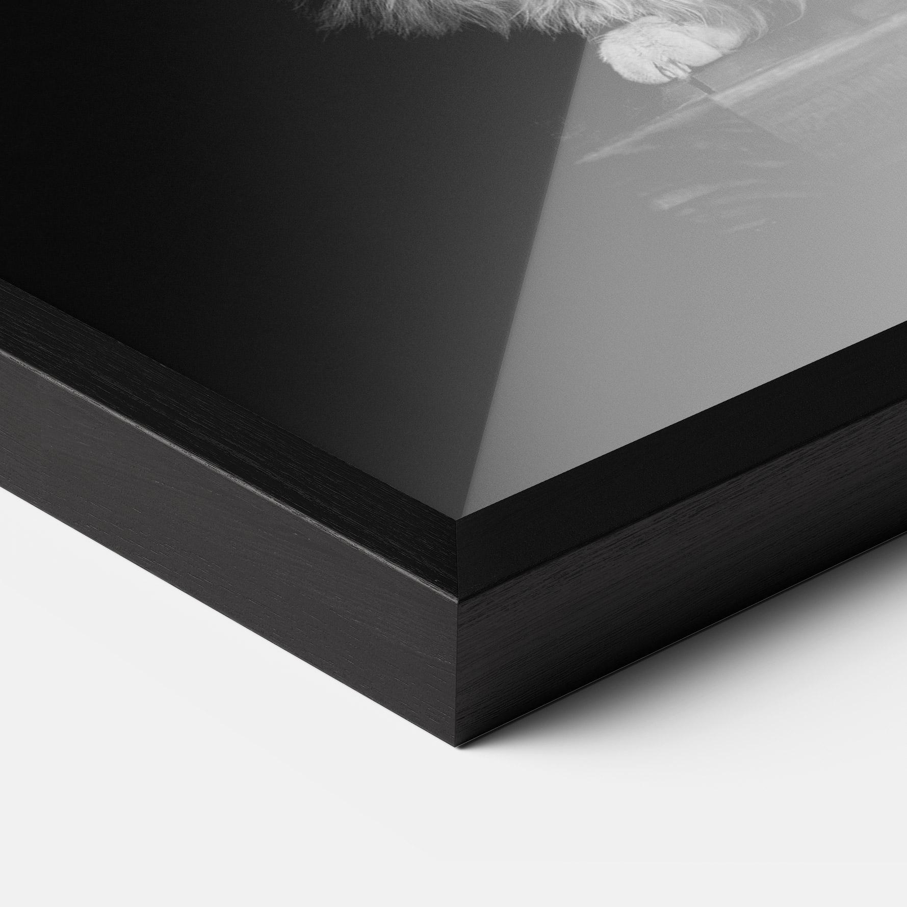 Рамкиран постер Big Fluffy Cat mockup 3