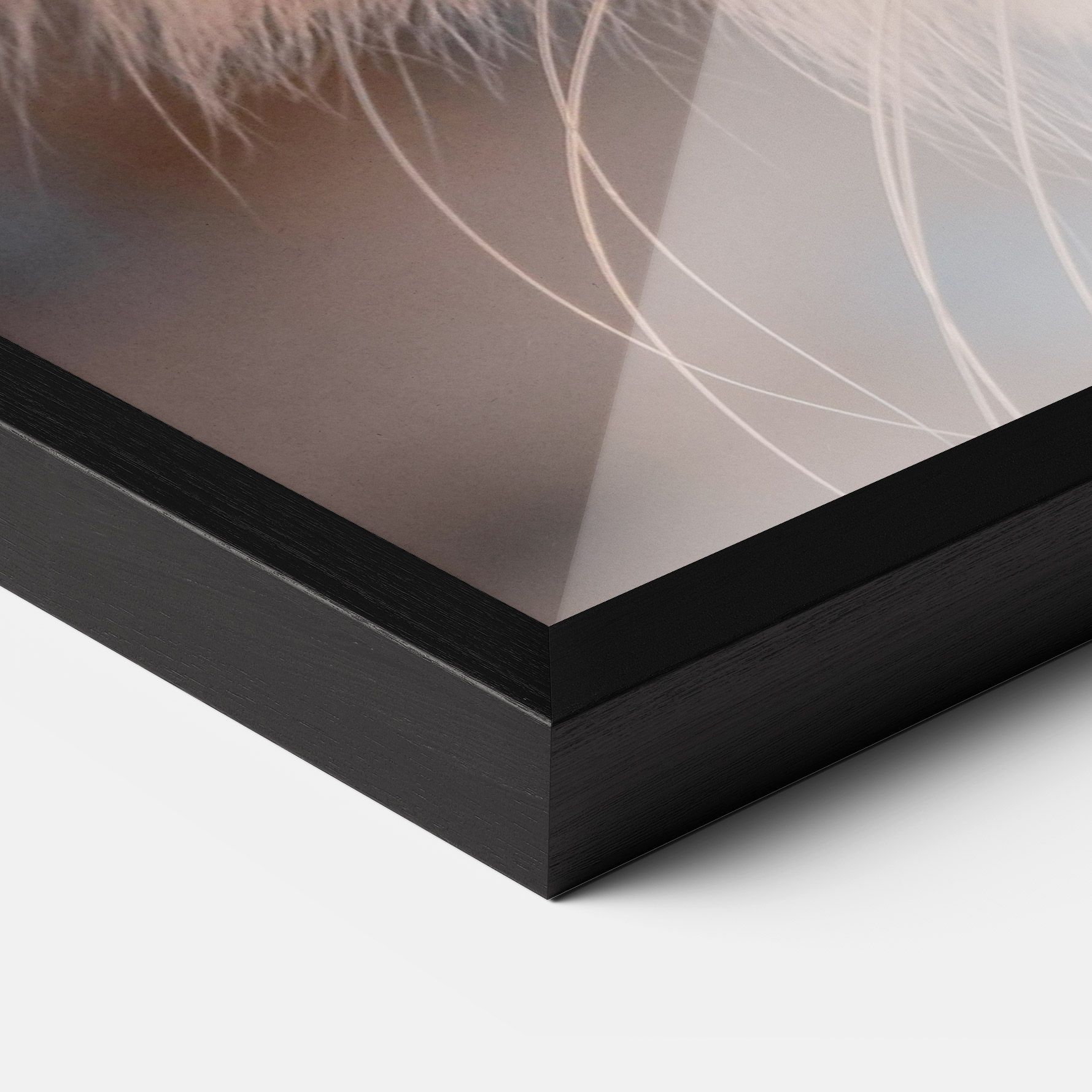 Cat Eye In Sun mockup 3