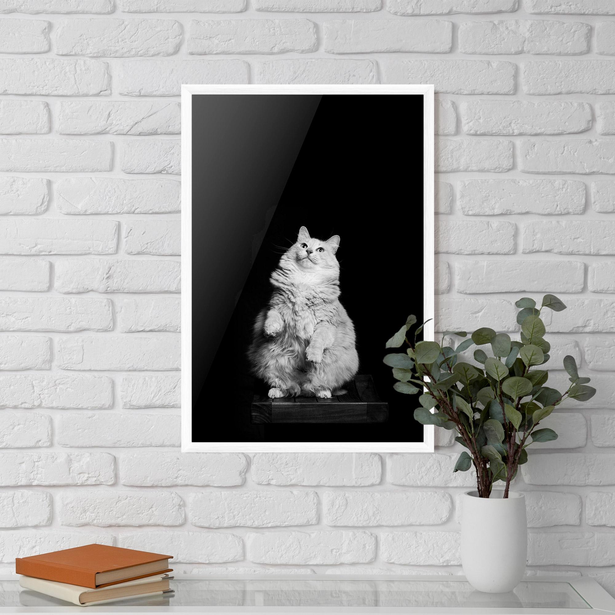 Рамкиран постер Big Fluffy Cat mockup 5