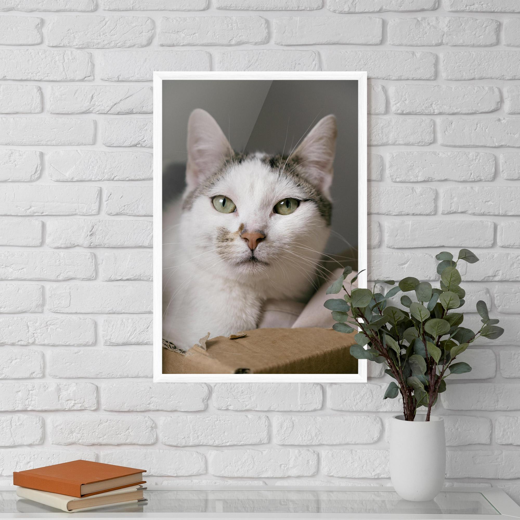 Рамкиран постер Big Sleepy Cat mockup 5