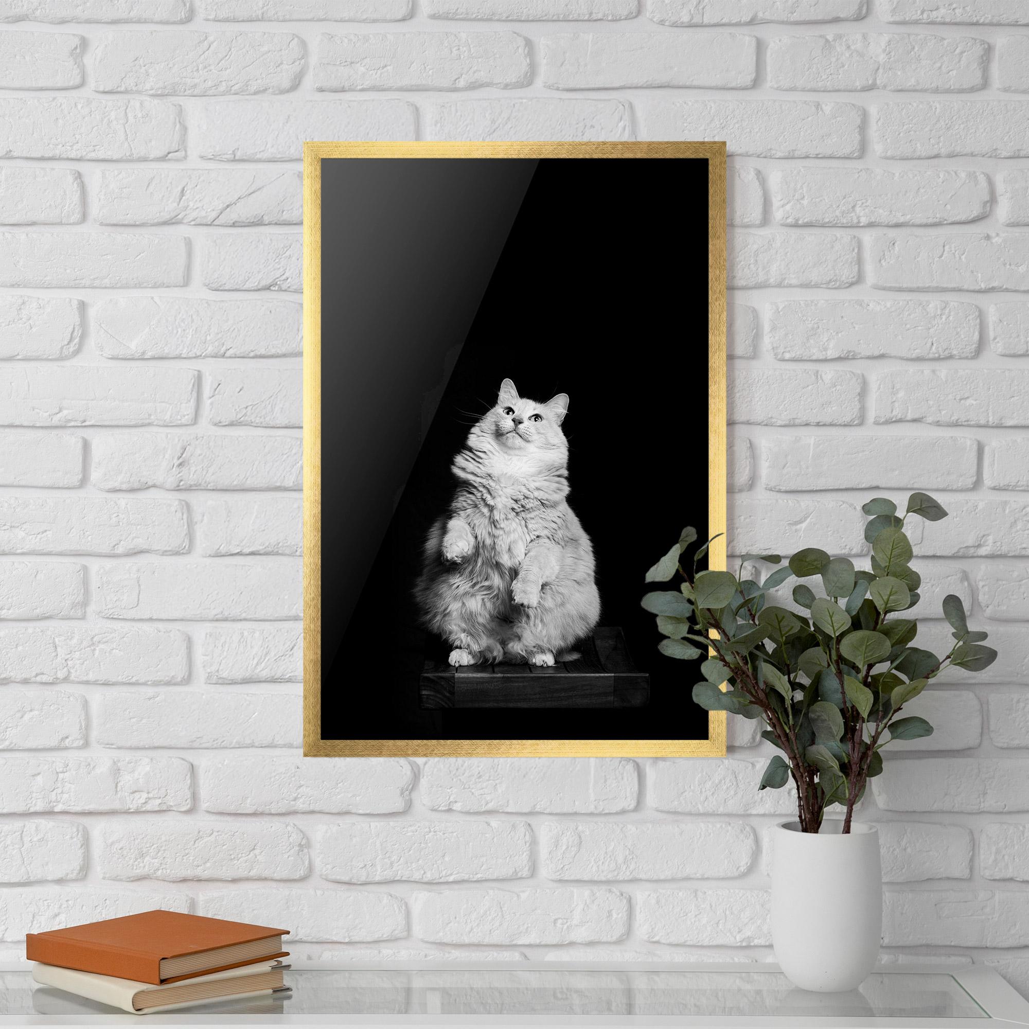 Рамкиран постер Big Fluffy Cat mockup 5