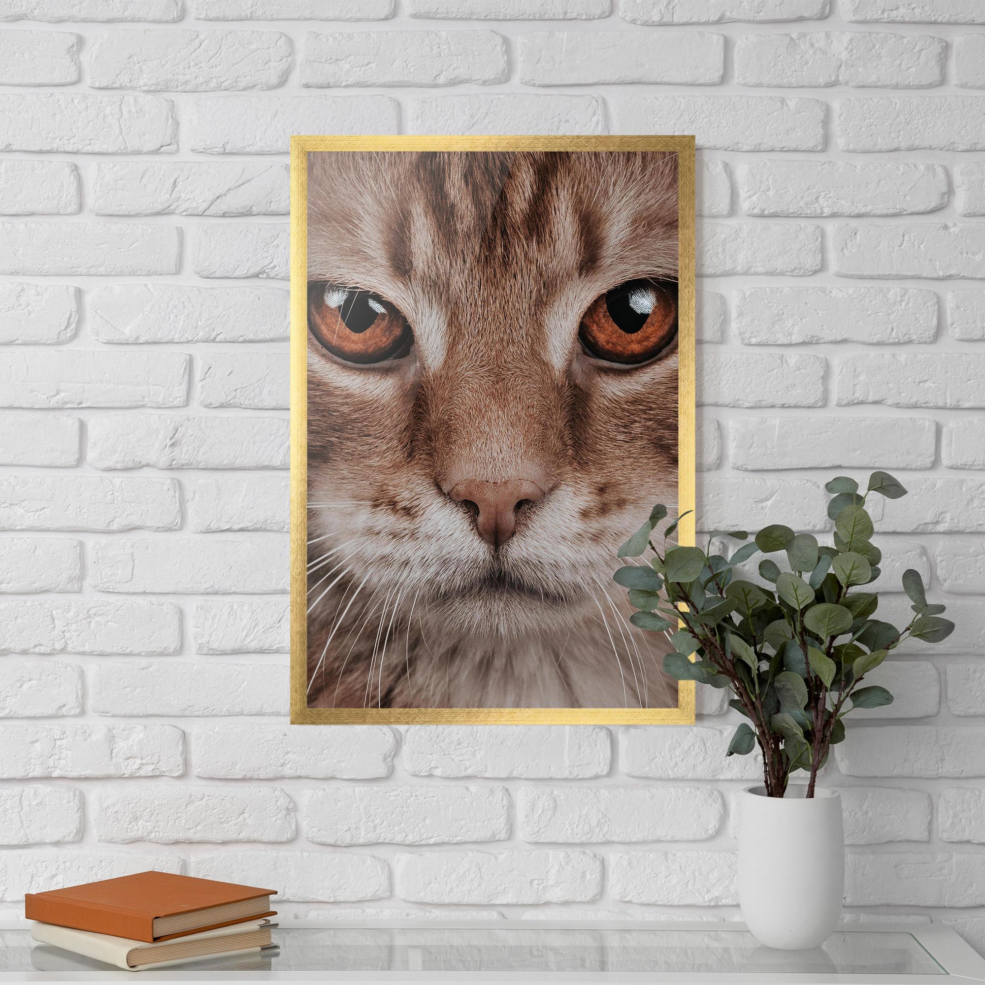 Рамкиран постер Fire Eyes Cat mockup 5