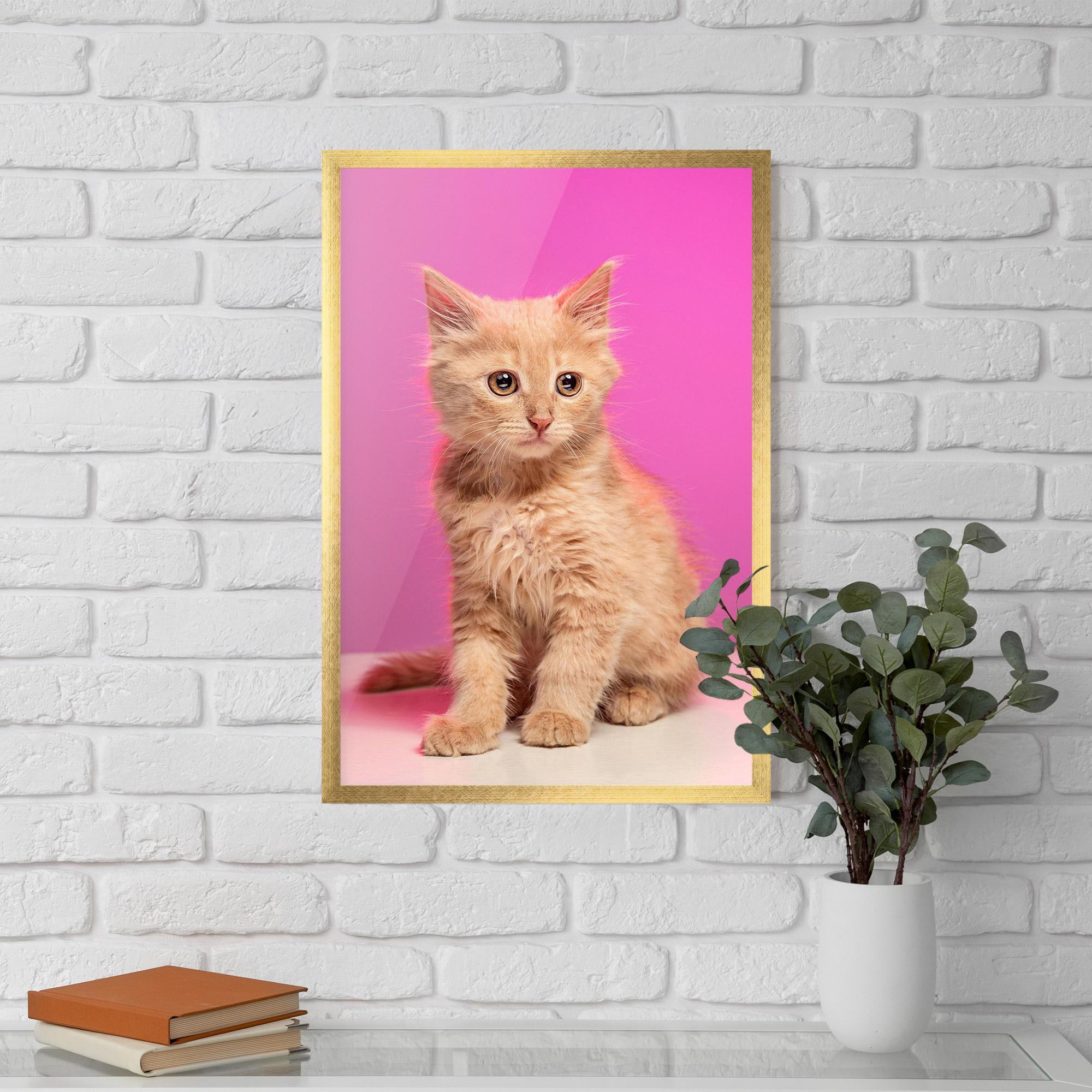 Рамкиран постер Orange Cat On Pink mockup 5