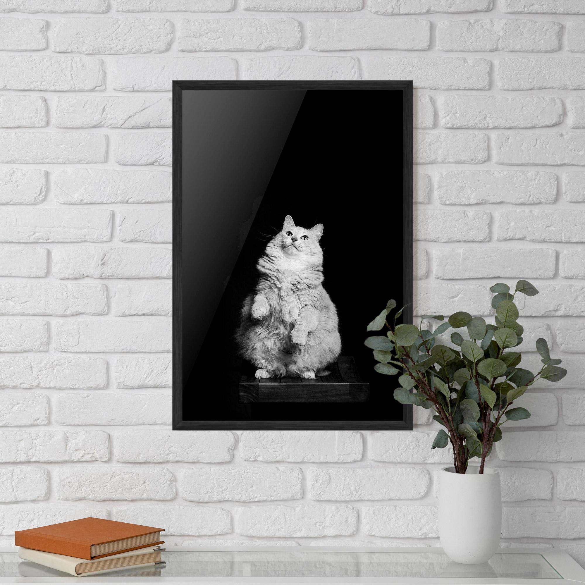Рамкиран постер Big Fluffy Cat mockup 5