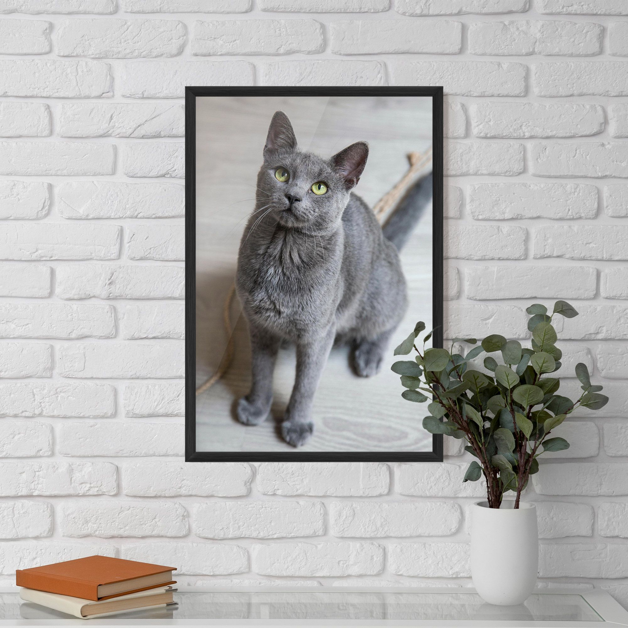 Grey Green Cat Eyes mockup 5