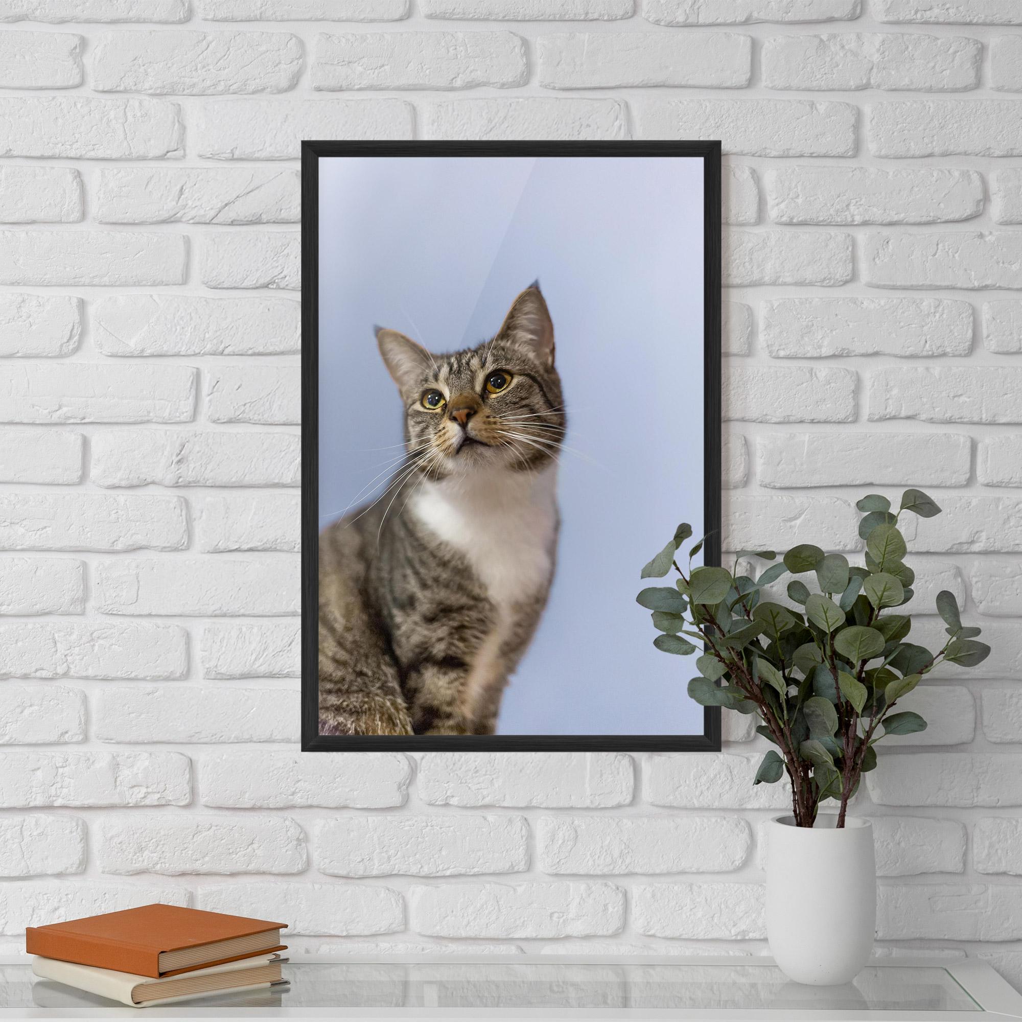 Рамкиран постер Yellow Eyes Cat mockup 5